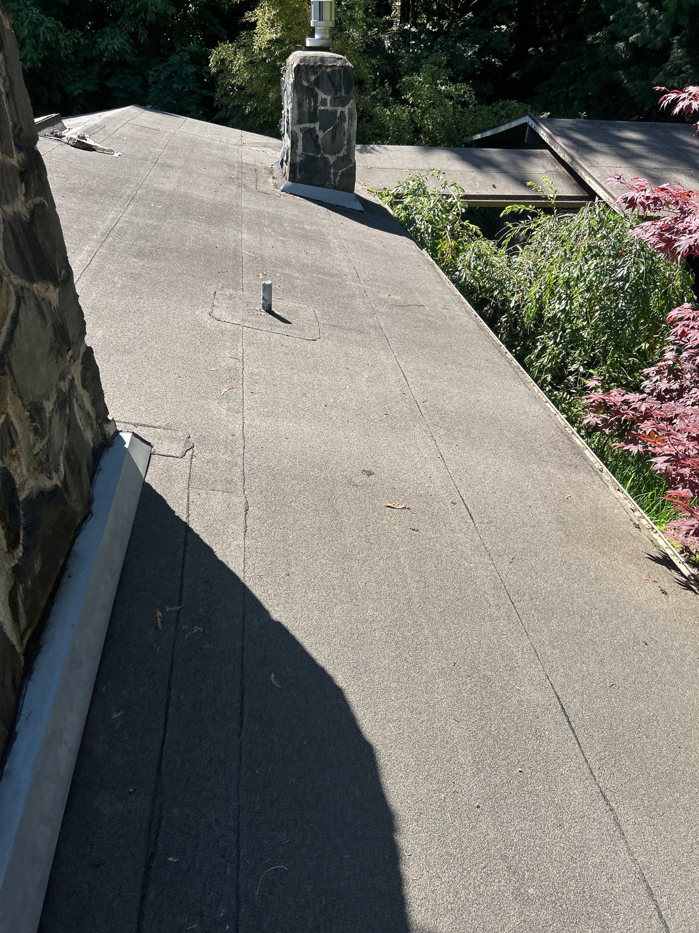 Project in Seattle by Peaks and Valleys Construction