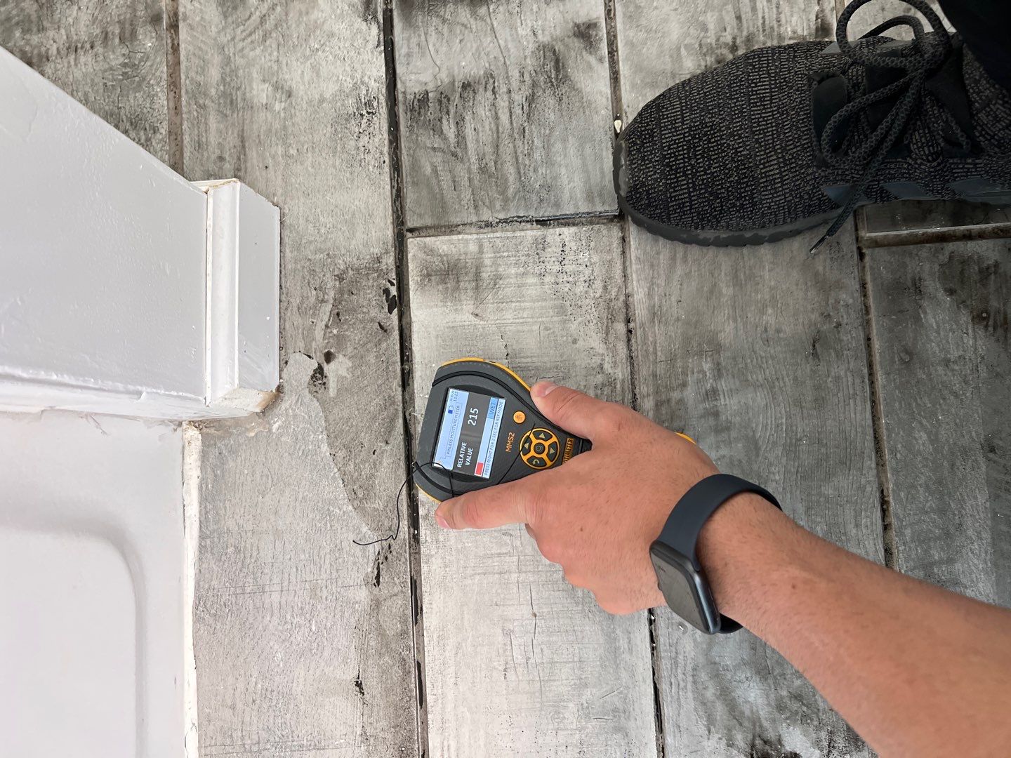 Project in Novi by EzDry Water Mitigation & Property Restoration