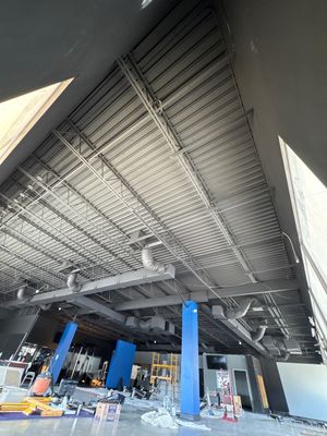 Natural Bodyz Fitness