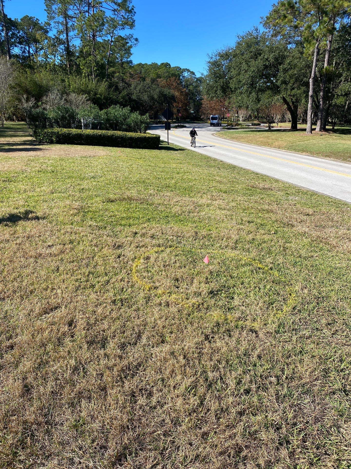 Deerwood Community | Oak Tree Replacement Project by ProGreen Services