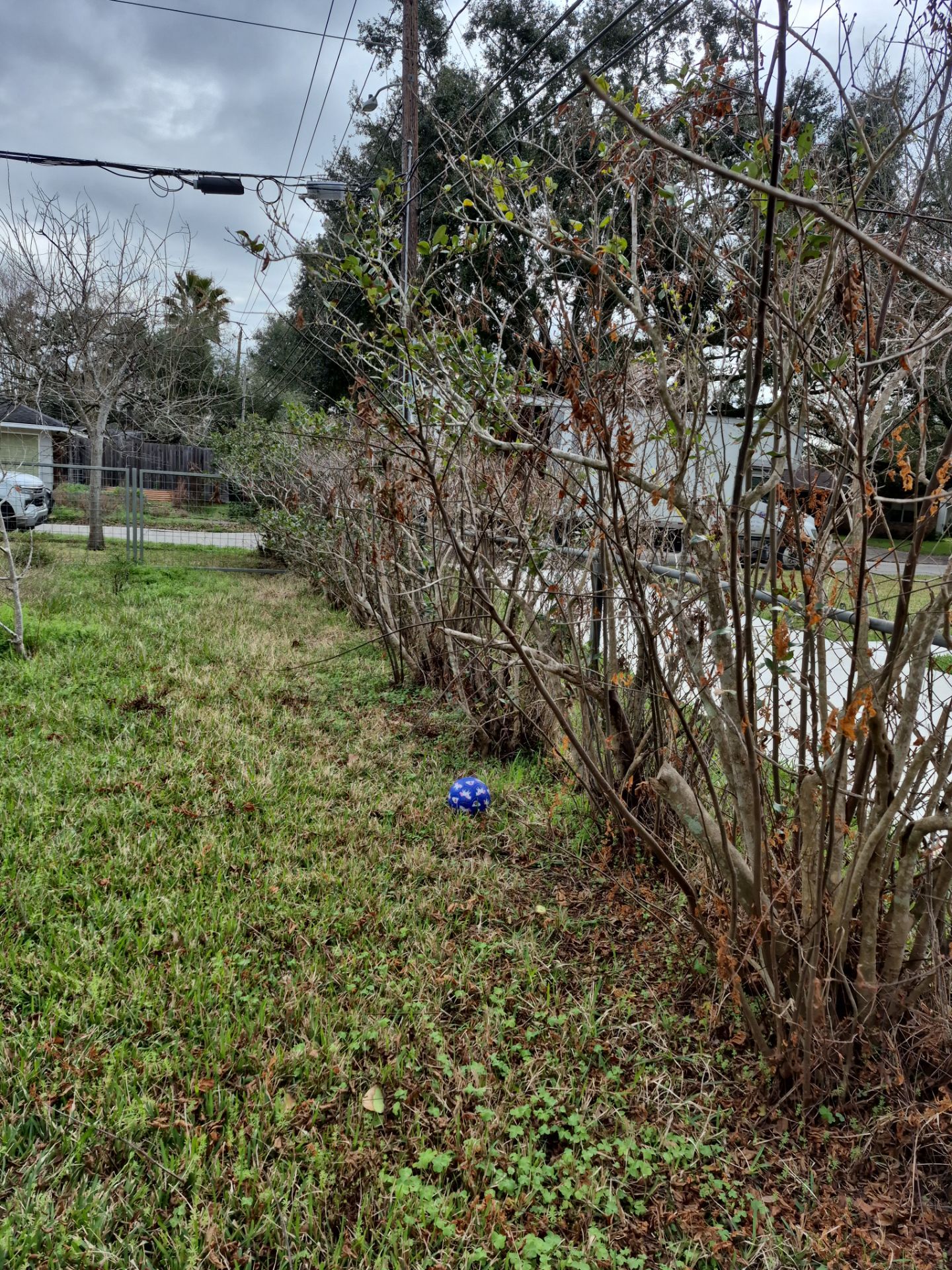 Horizontal with WRC by Tim's Fences