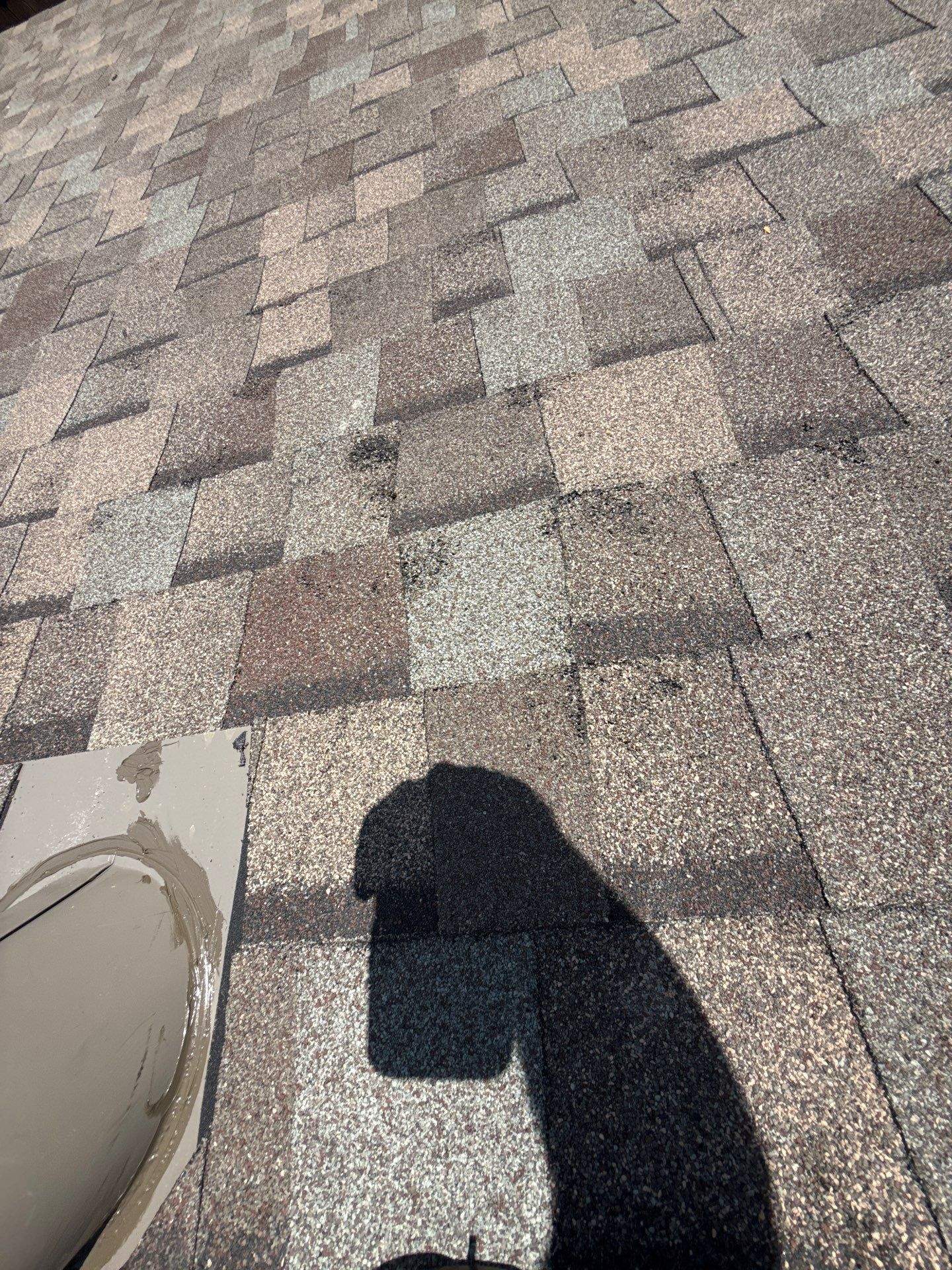 Project in Spring by Roof Guard And Construction
