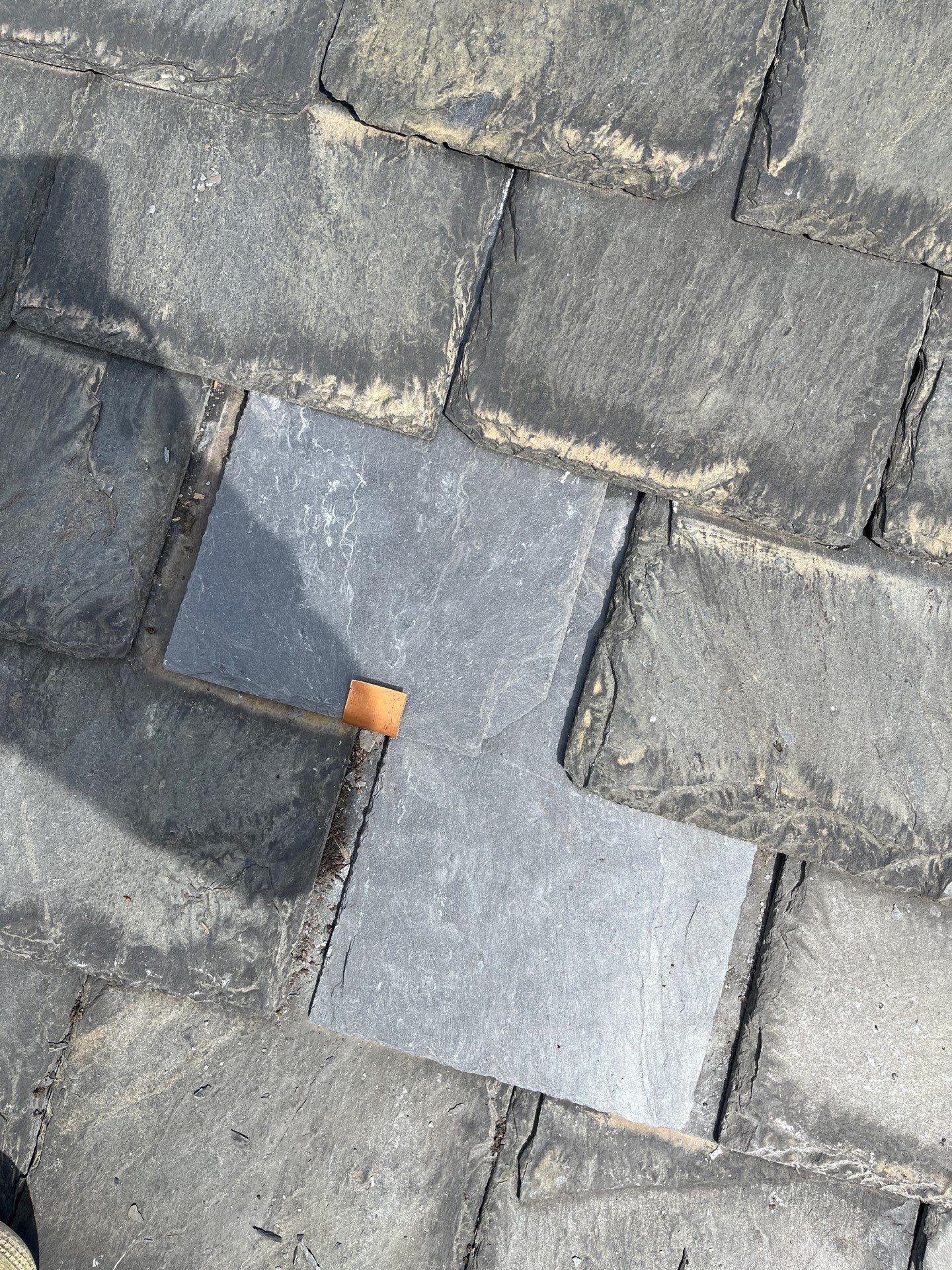 Arlington: Buckingham Slate and Carlisle Syntec TPO Roof by RM Banning, Inc.