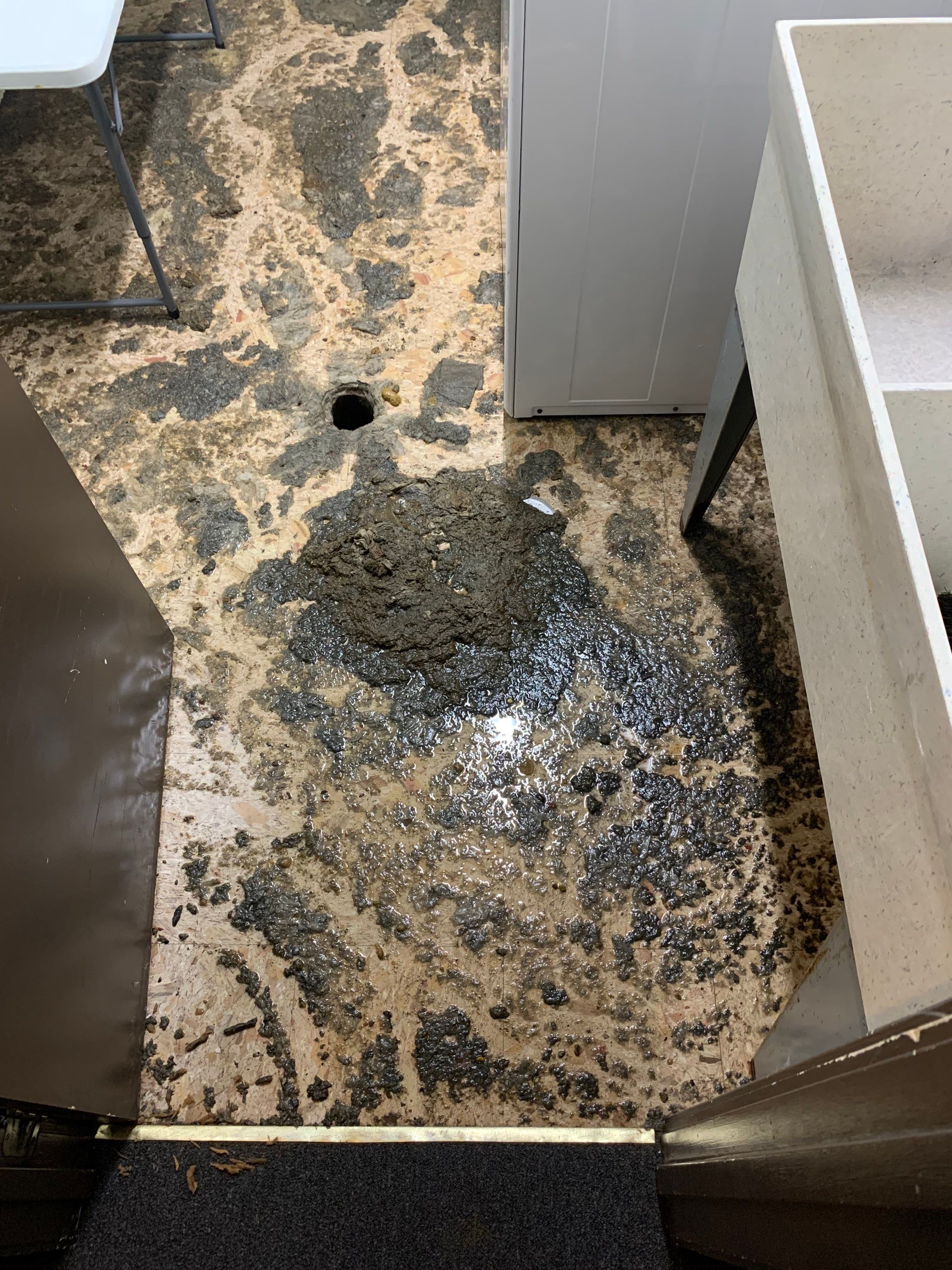 Sewer Drain Backup by Chicagoland Water Medics