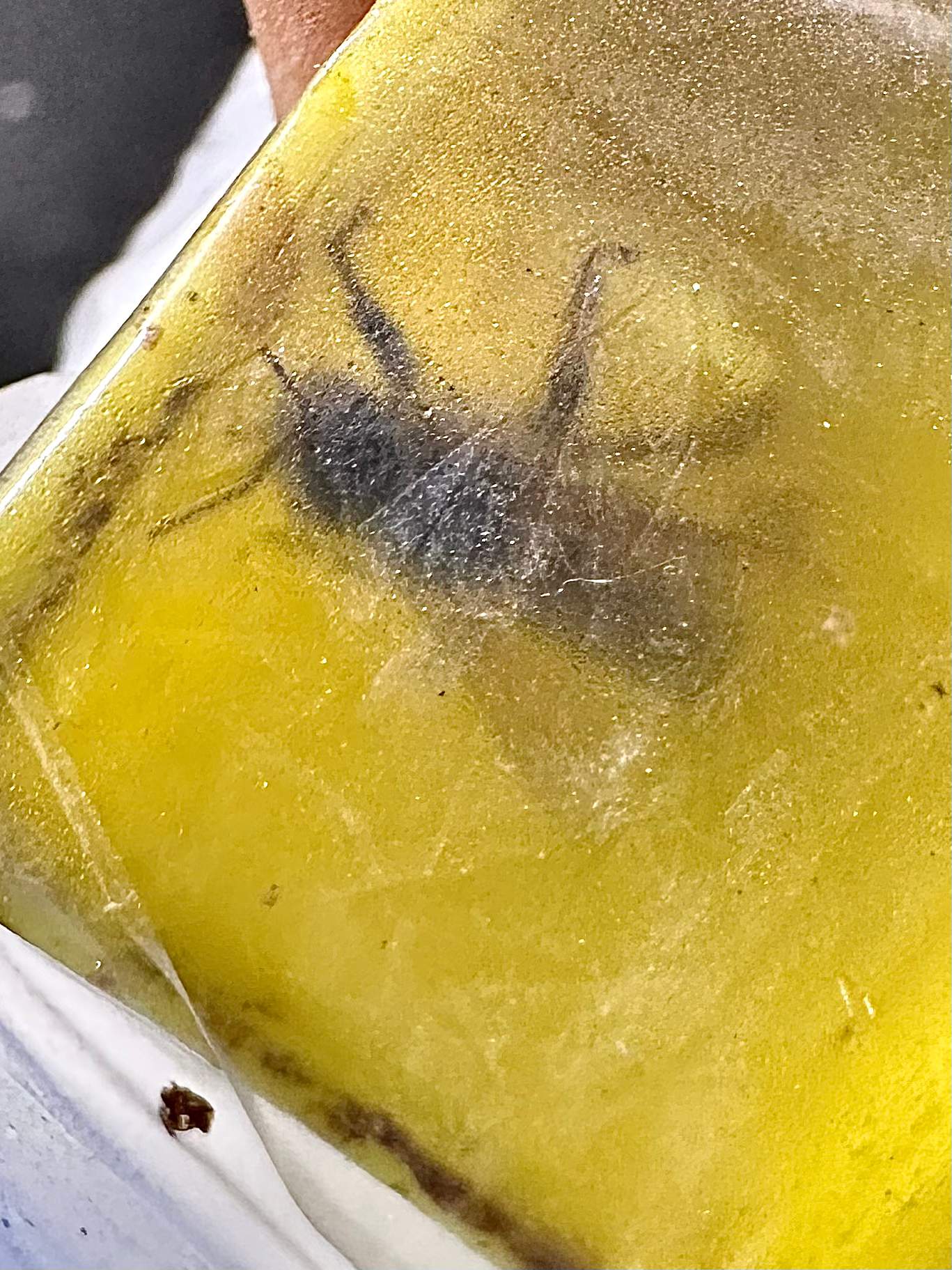 Hotel by Rockwall Honey Bee Company