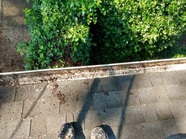 Slate Roof Repair & Gutter Cleaning in Roland Park by Roof Right Inc