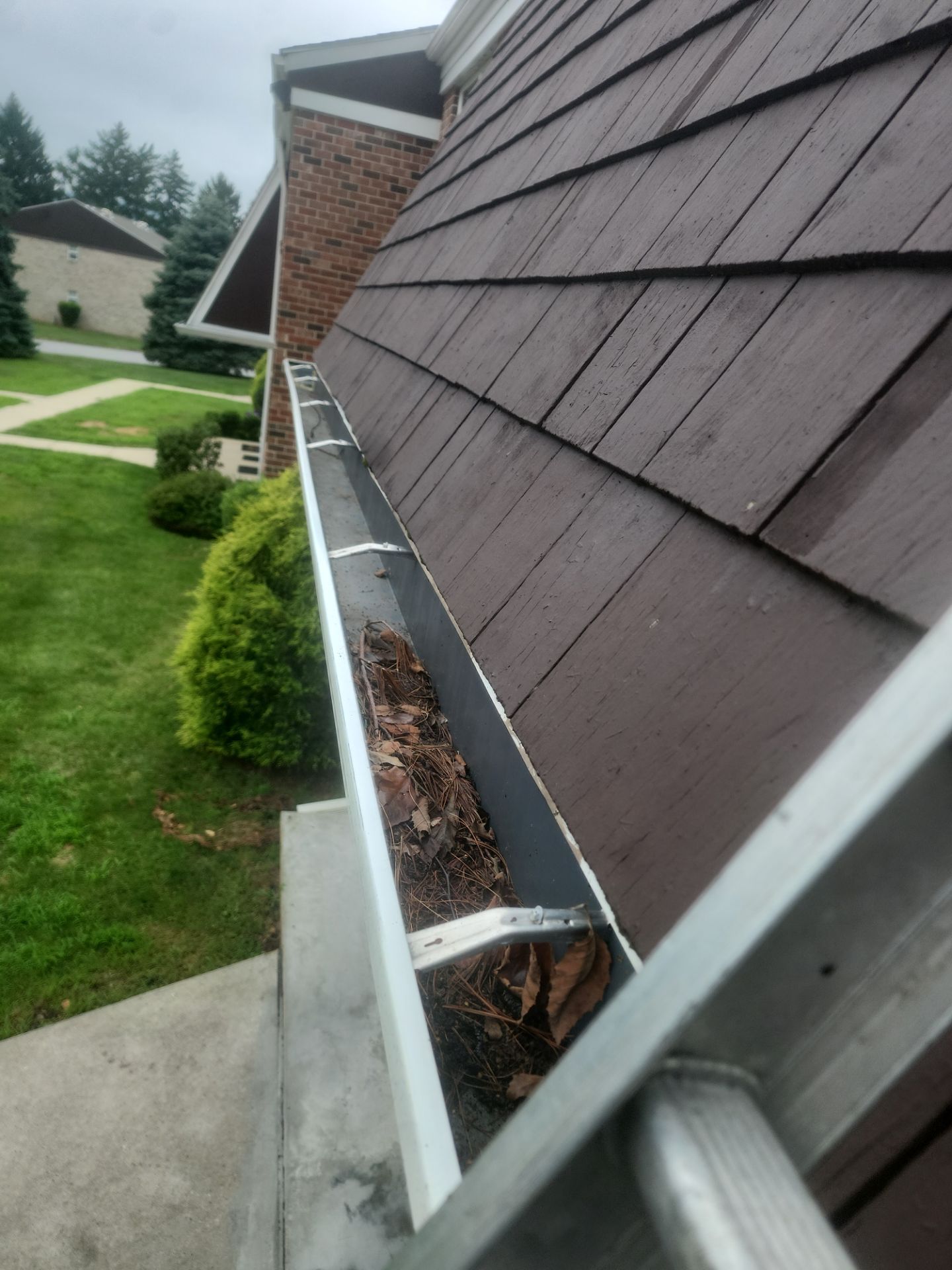 HOA gutter cleaning before