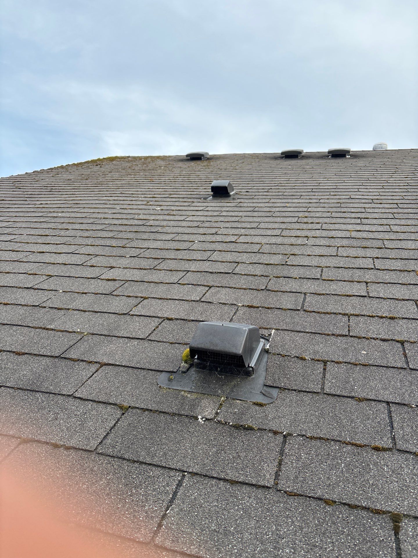 GAF Timberline HDZ, Barkwood  by Proline Roofing & Restoration LLC