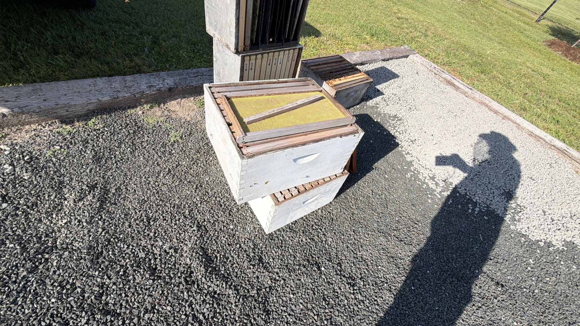 Momma K’s apiary by Rockwall Honey Bee Company