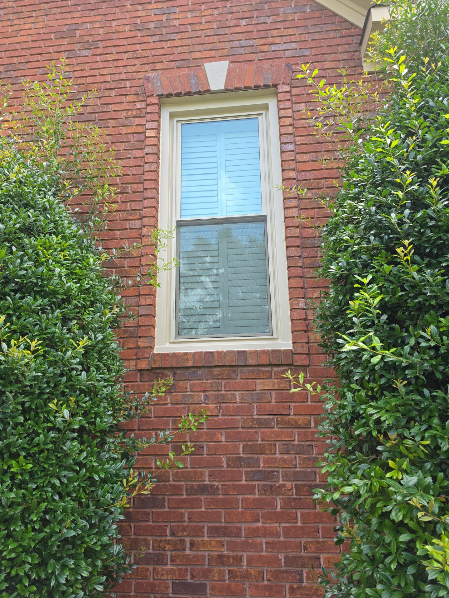 Eifert Project in Hoover by The Window Source