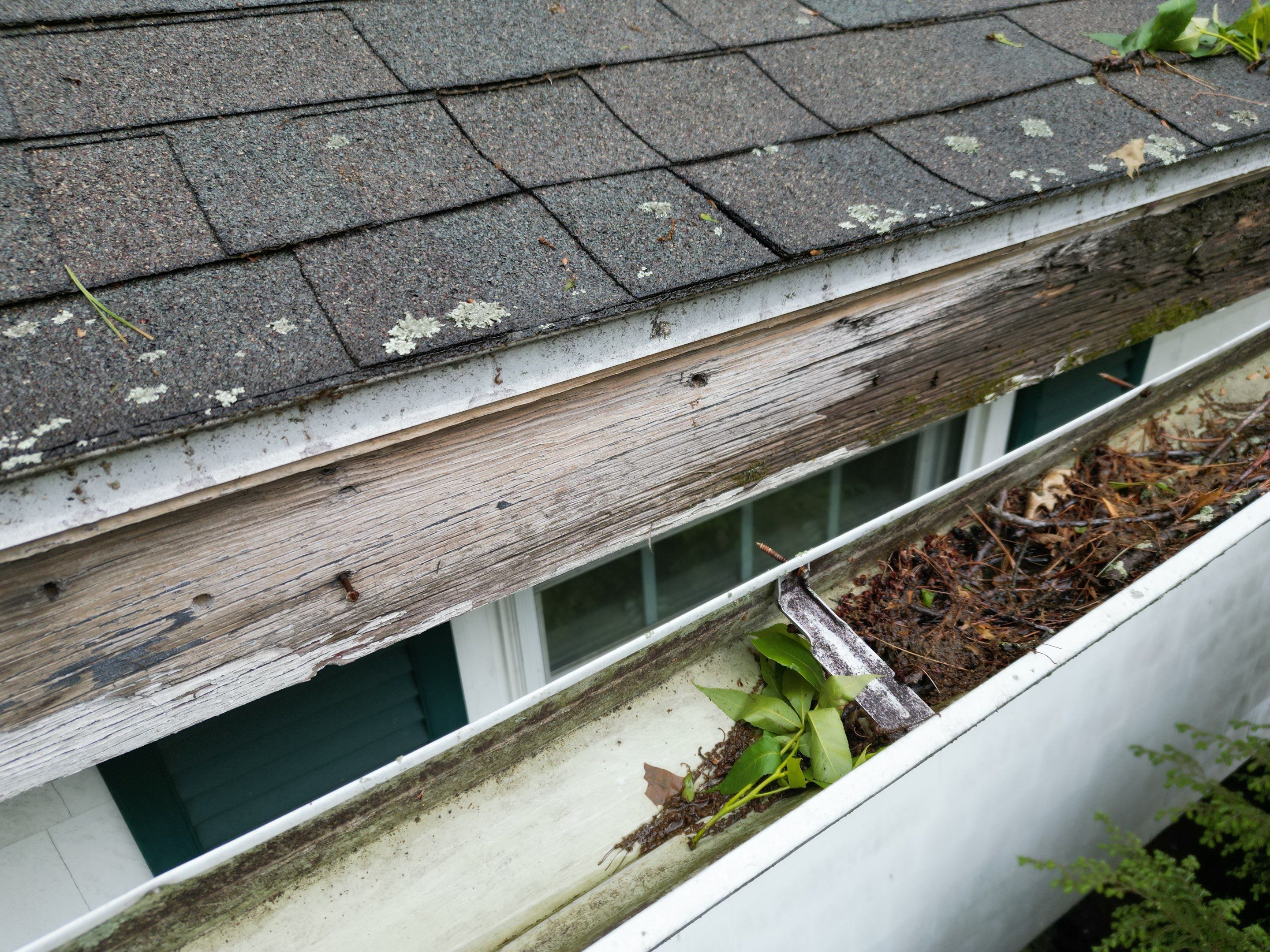 Roof & Exterior Renovation – Chelmsford, MA by Mighty Dog Roofing of Greater Middlesex County