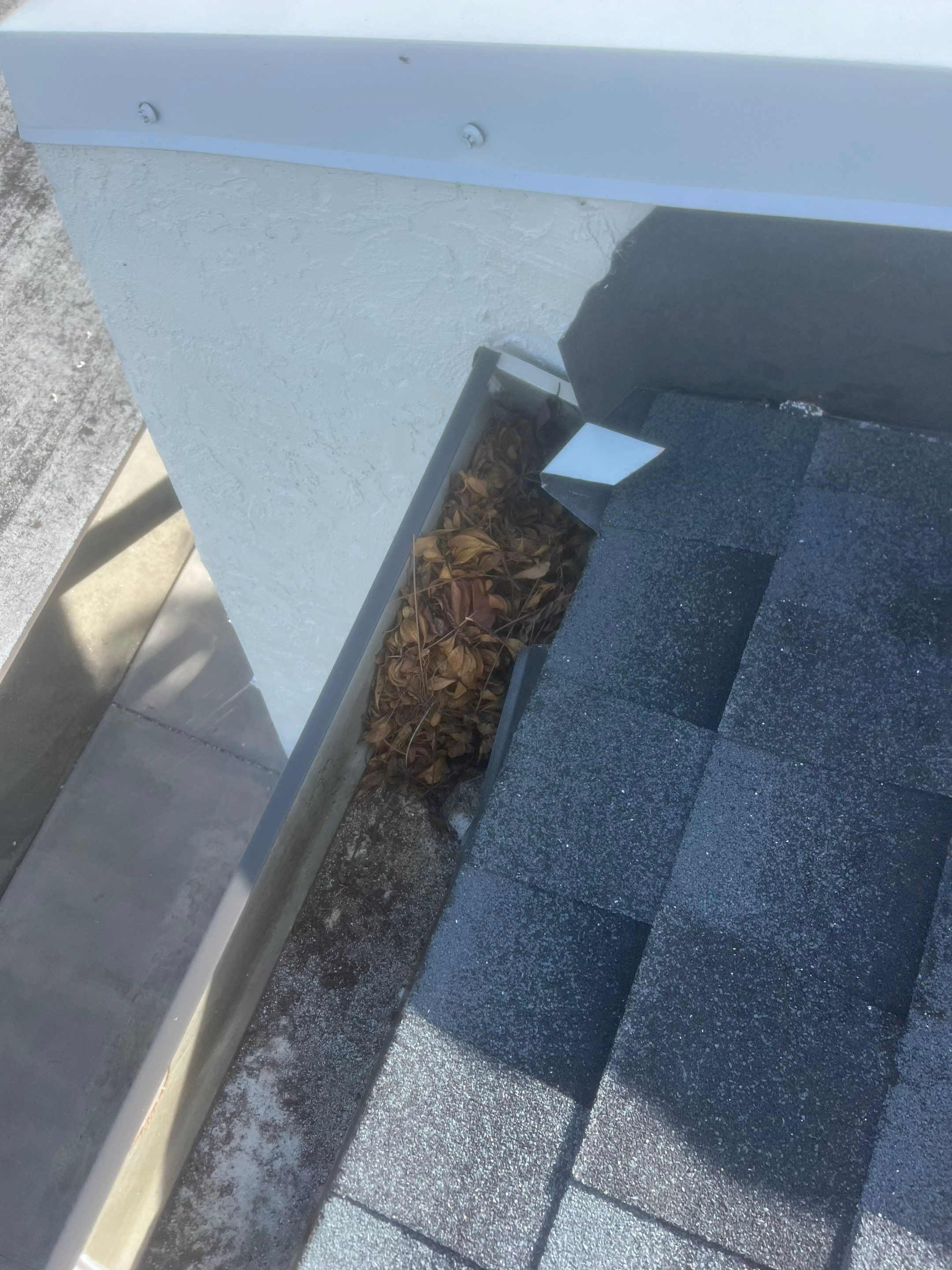 Professional Gutter Cleaning in Fort Myers FL by Gutter Professors