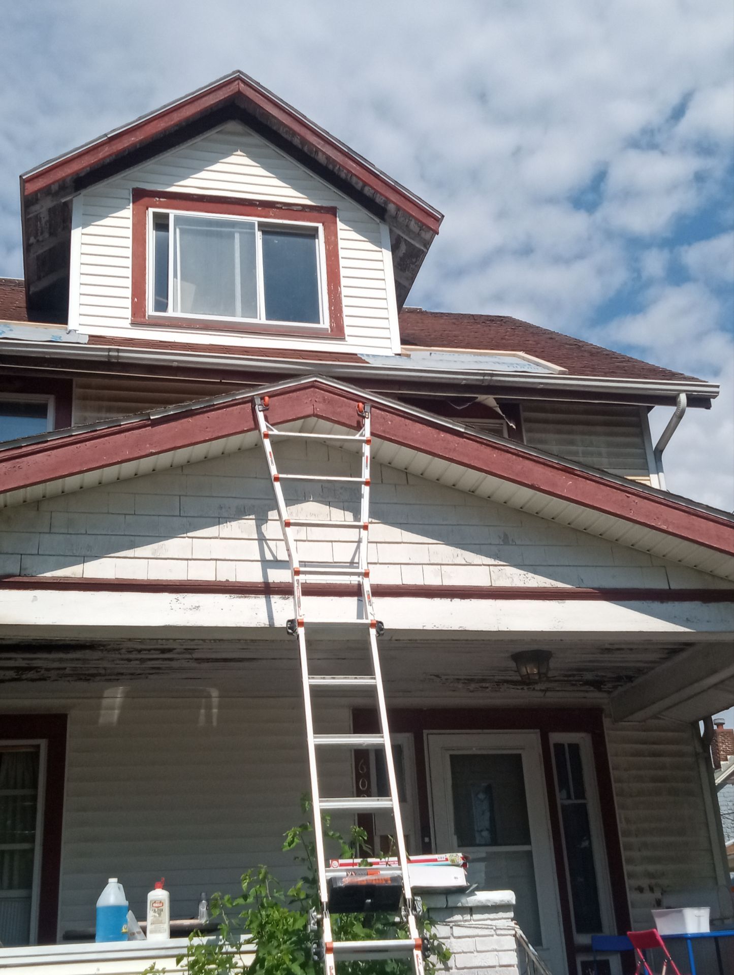 Jasmine Wilson by Silver Leaf Contracting 