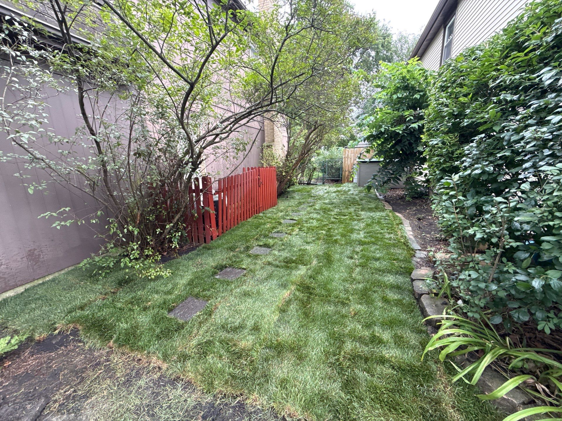 Helana M. - Mount Prospect, IL by A&N
