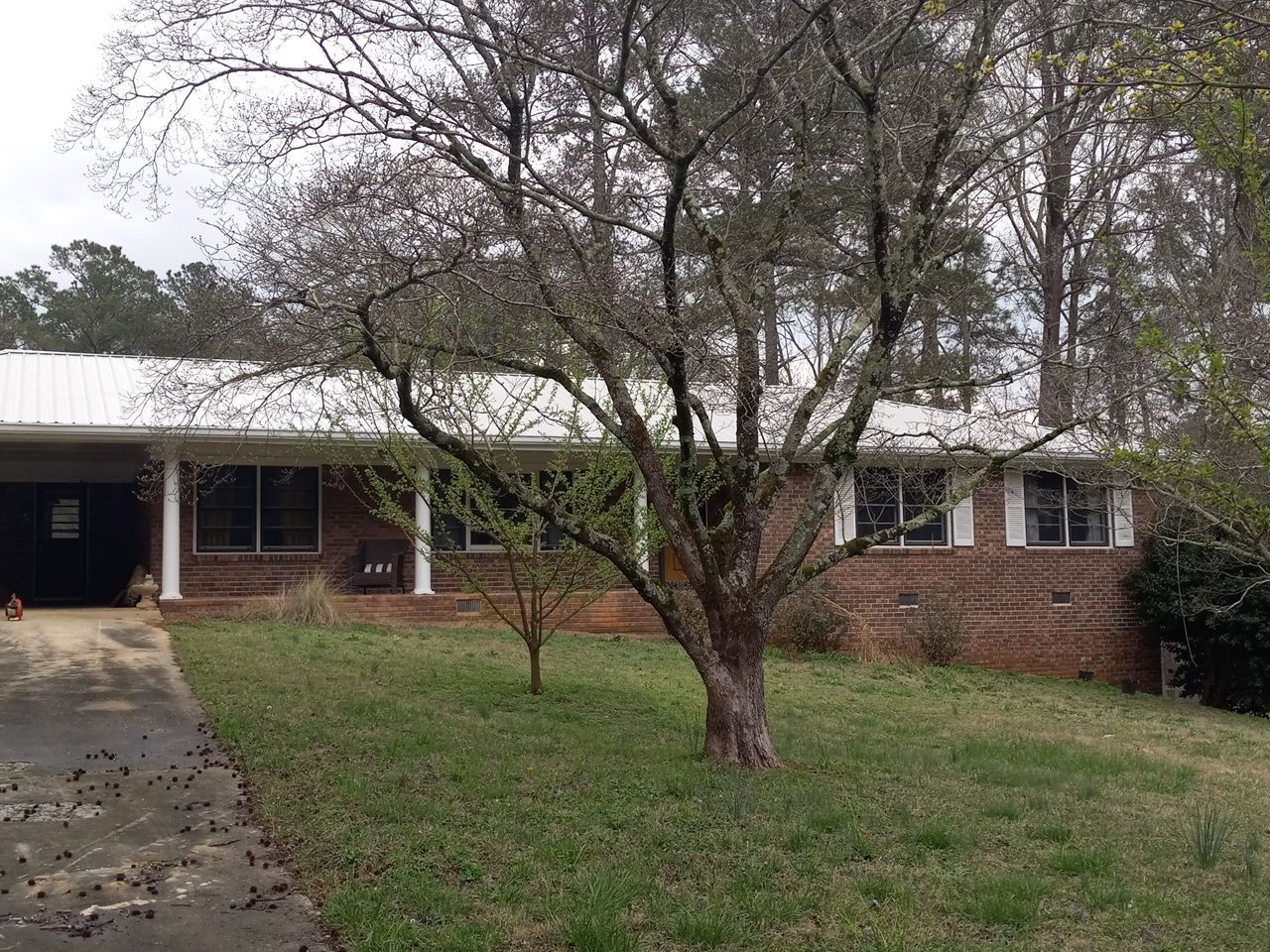 Bold Switch: From Shingles to Metal by Georgia Roof Advisors