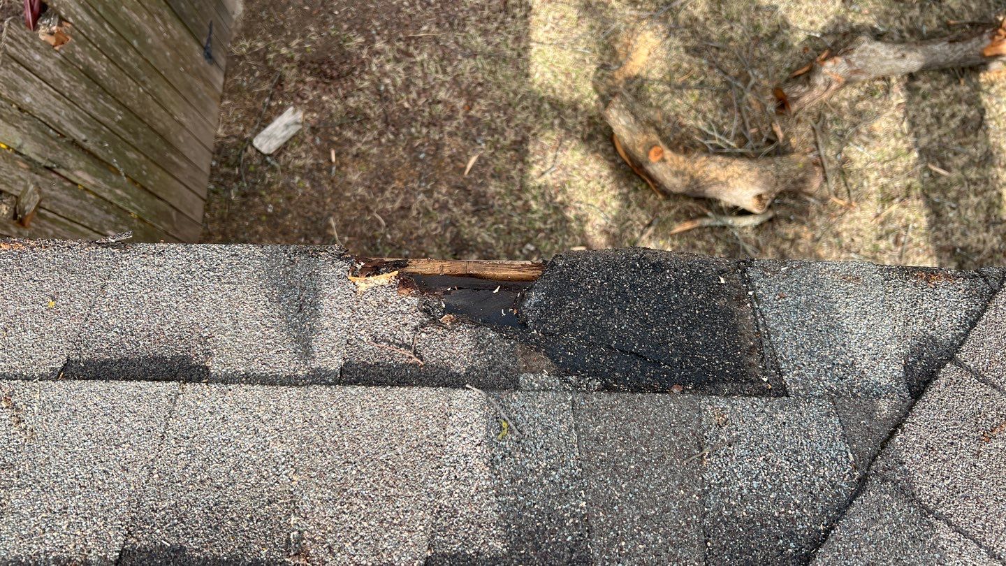 Winter storm 2023 with tree damage by Oakwood Roofing and Construction, LLC