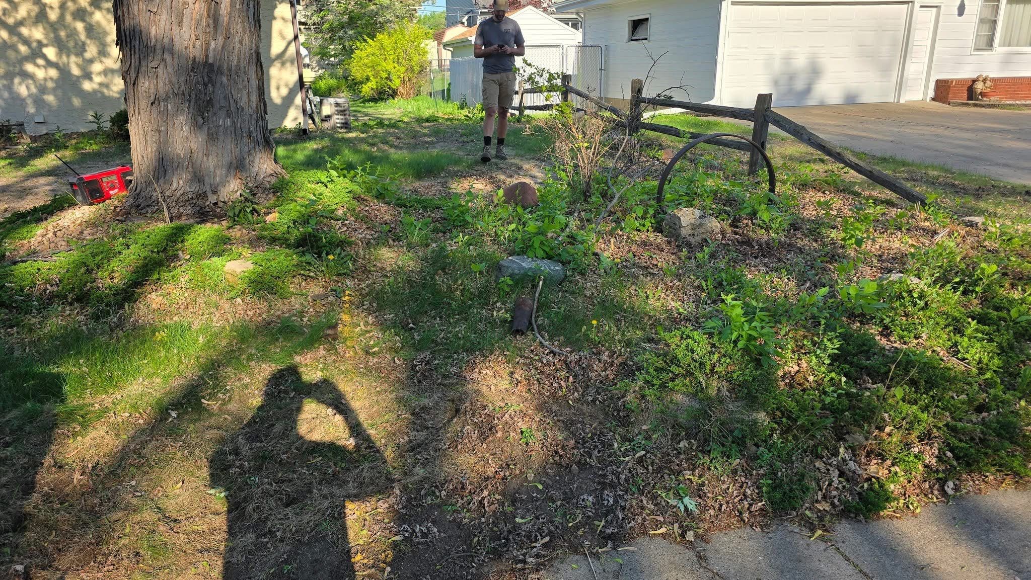 Landscape Renovation by Sota landscaping