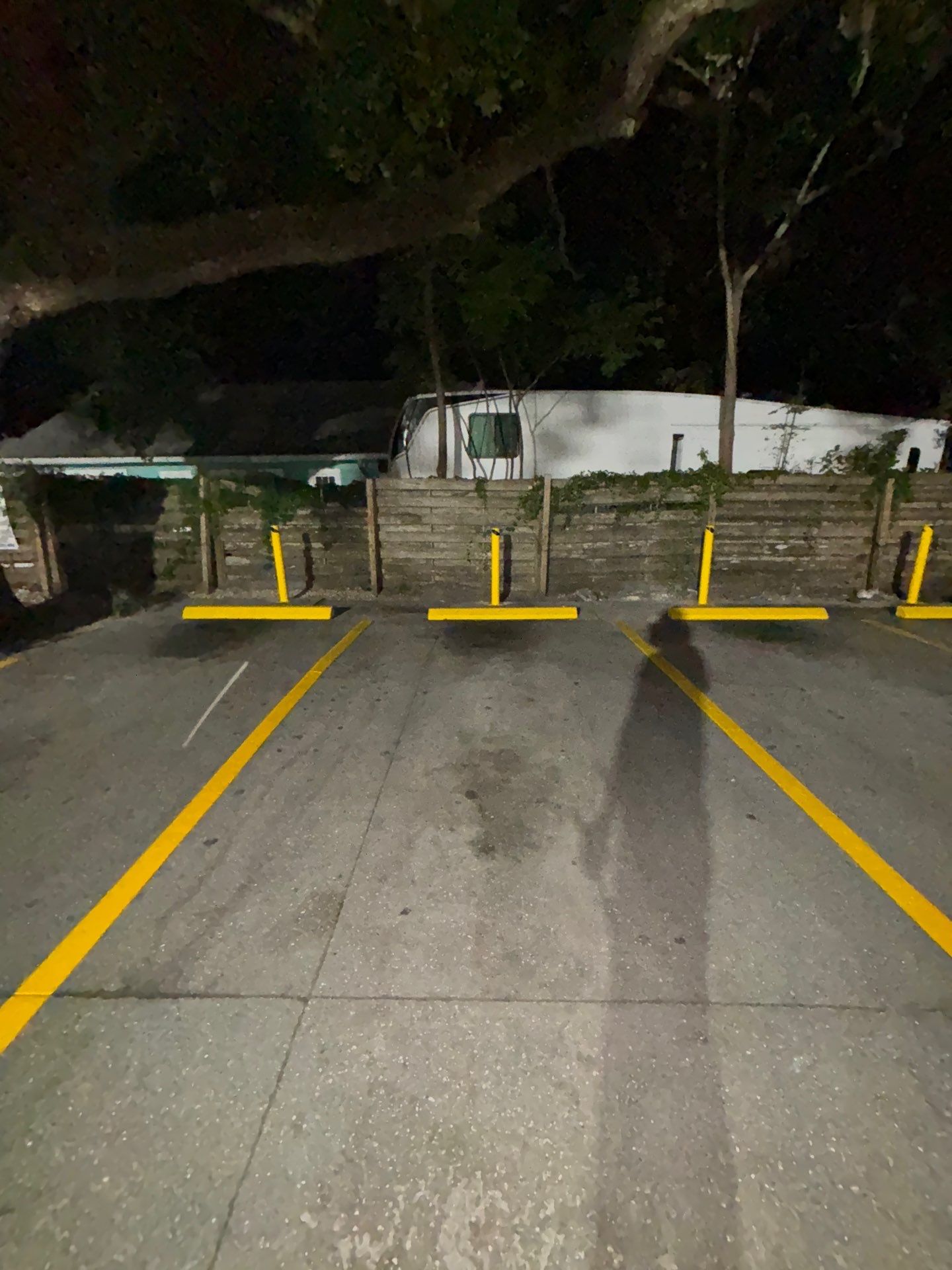 Bollard Installation, Line Striping, & Parking Block Installation at La Primavera Supermarket  by Everline Coatings & Services - Southwest FL