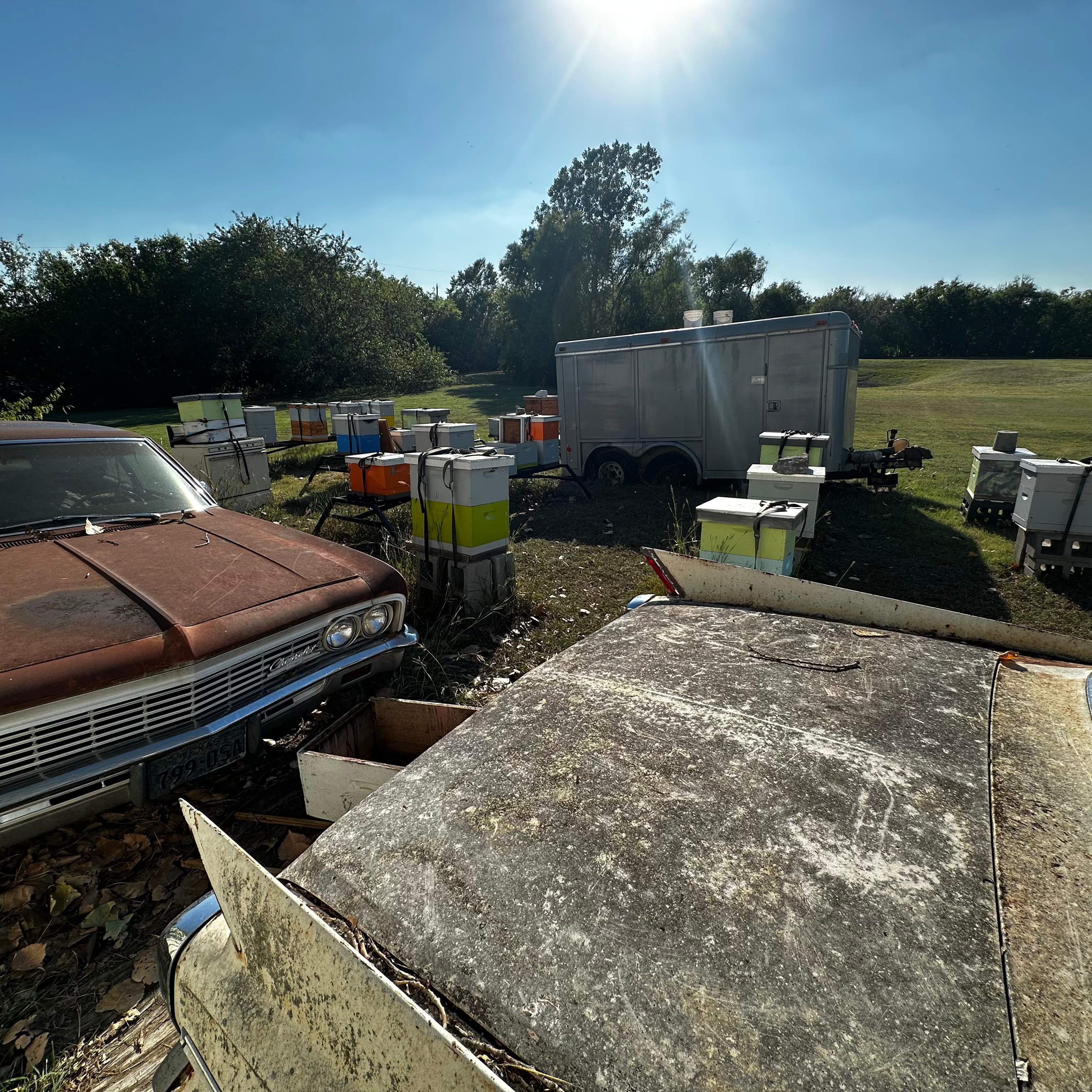 Rockwall Honey Bee Company HQ by Rockwall Honey Bee Company