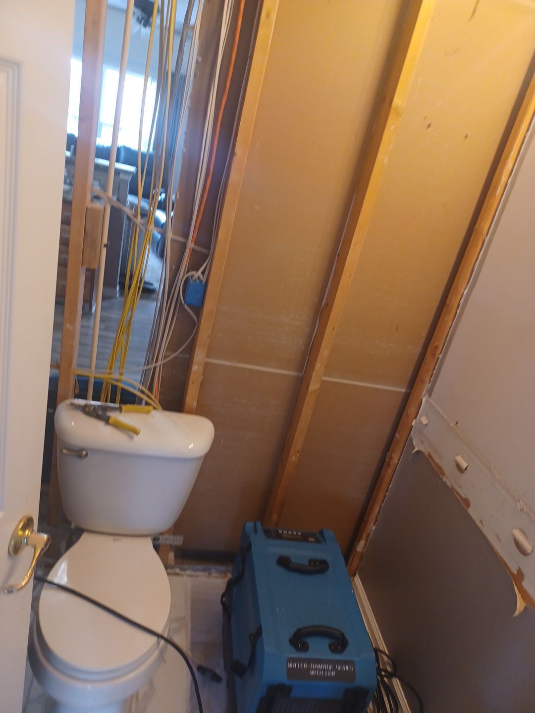 Project in Sterling Heights by EzDry Water Mitigation & Property Restoration