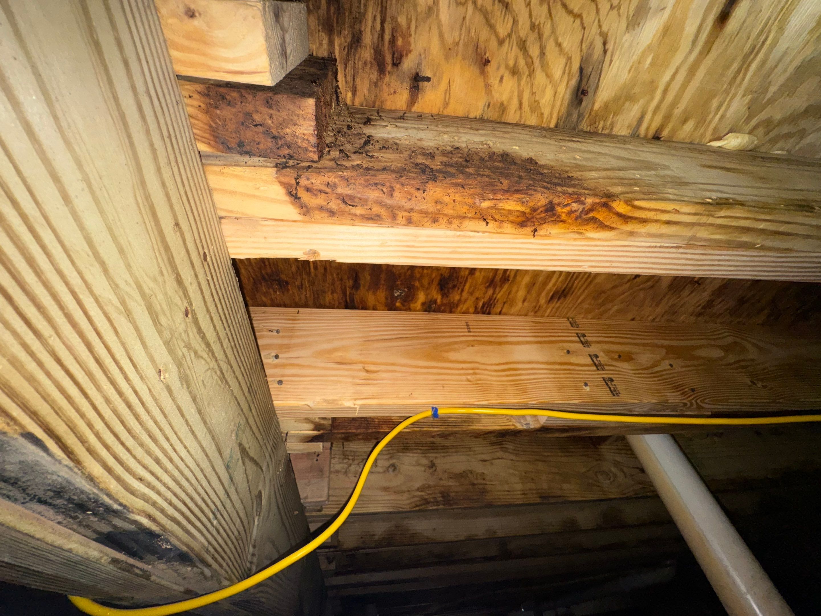 Project in Suffolk by Patriot Crawl Space Repairs