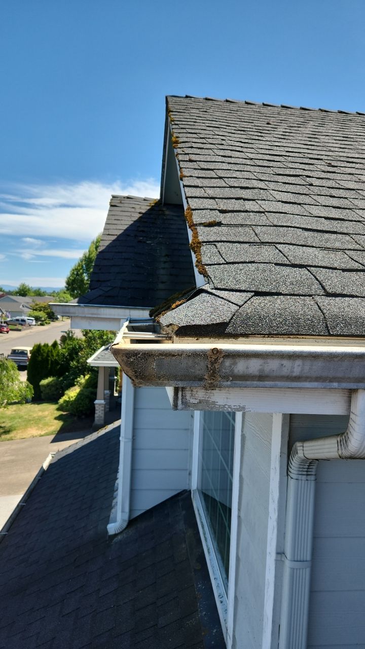 Interior and Exterior gutter clean and Roof Wash by Willamette Outdoor Wash LLC