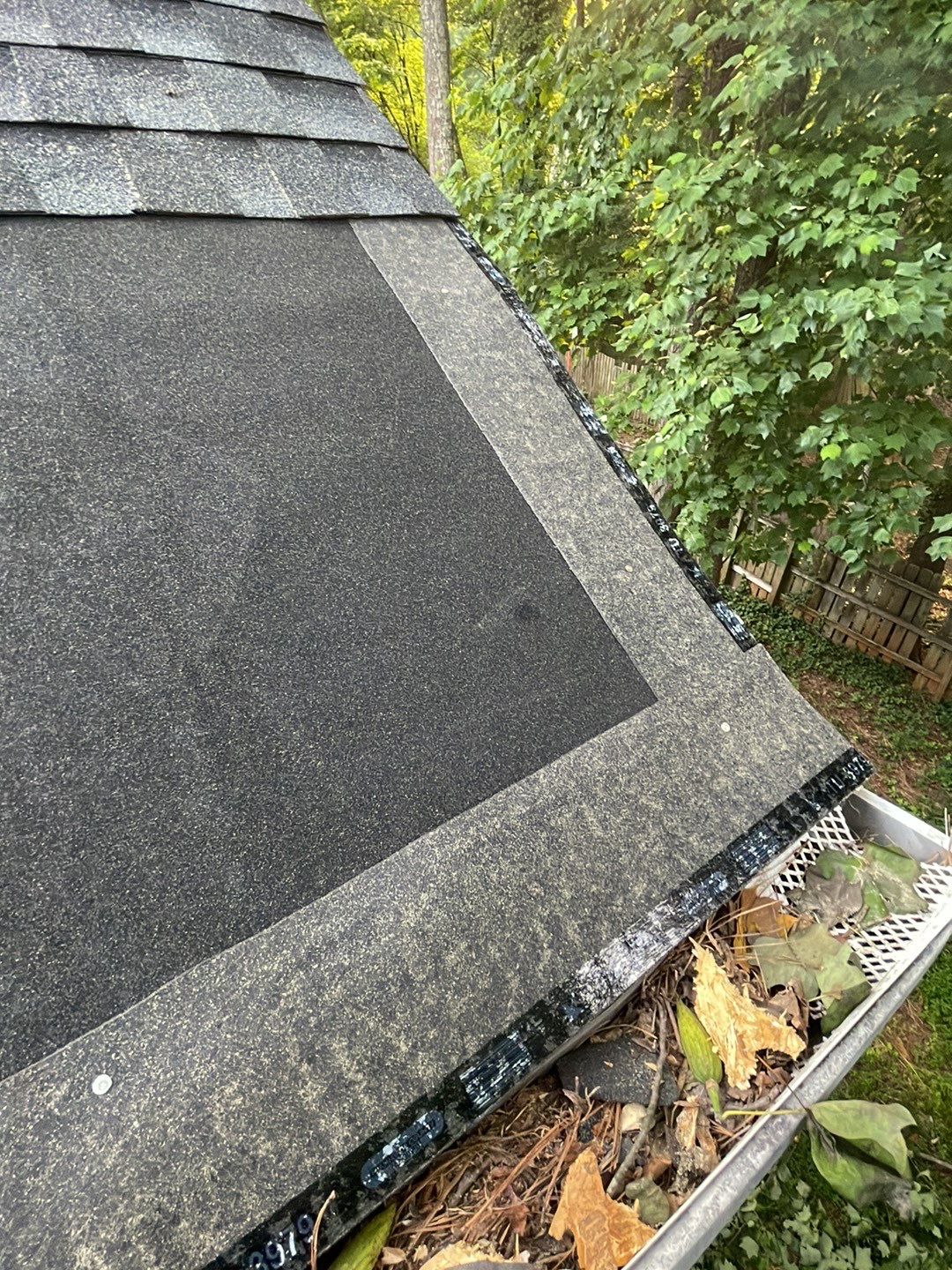 🌳 Tree Limb Hole Repair by Georgia Roof Advisors