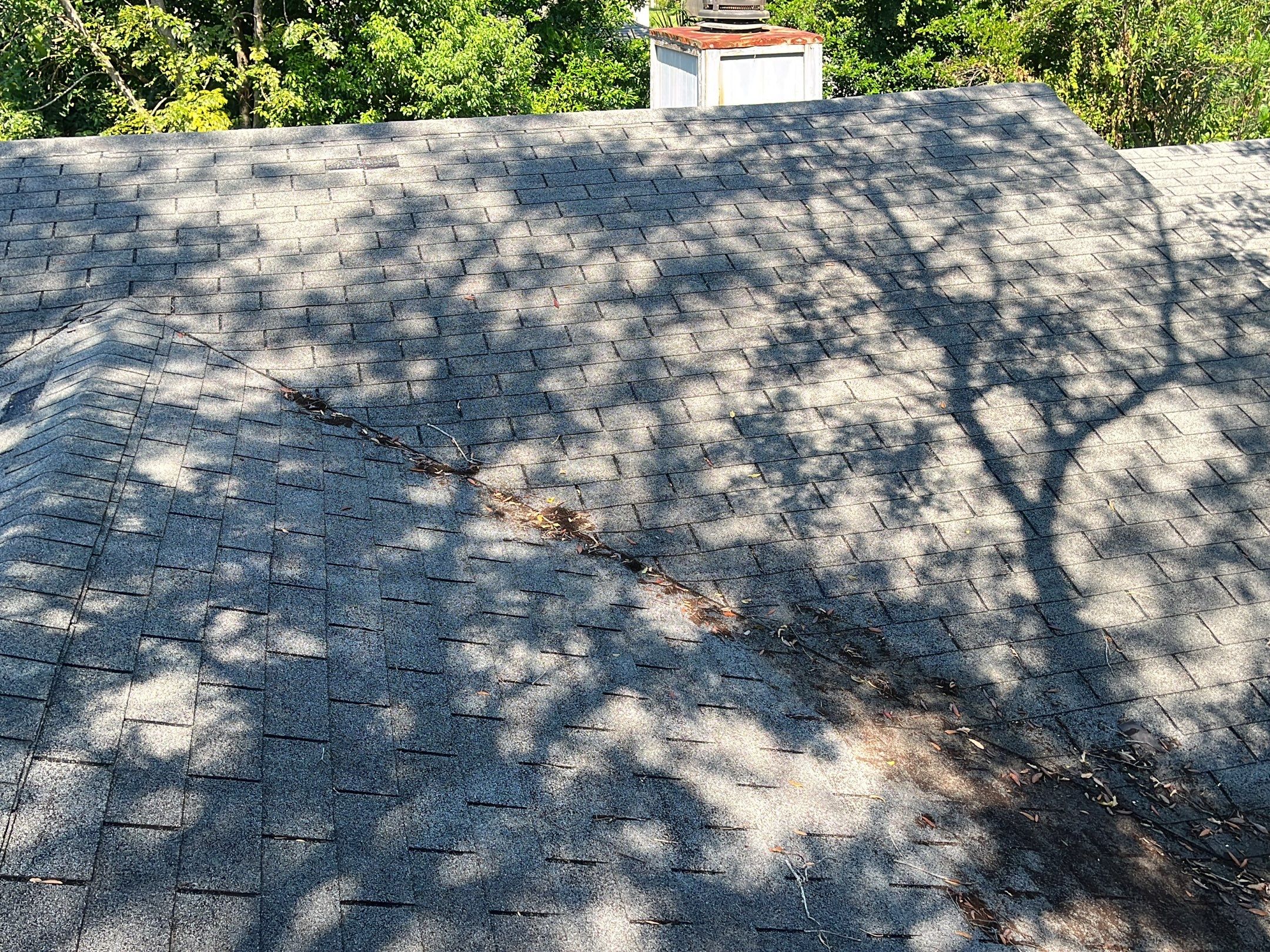 Shingle -> Shingle by Prime Roofing