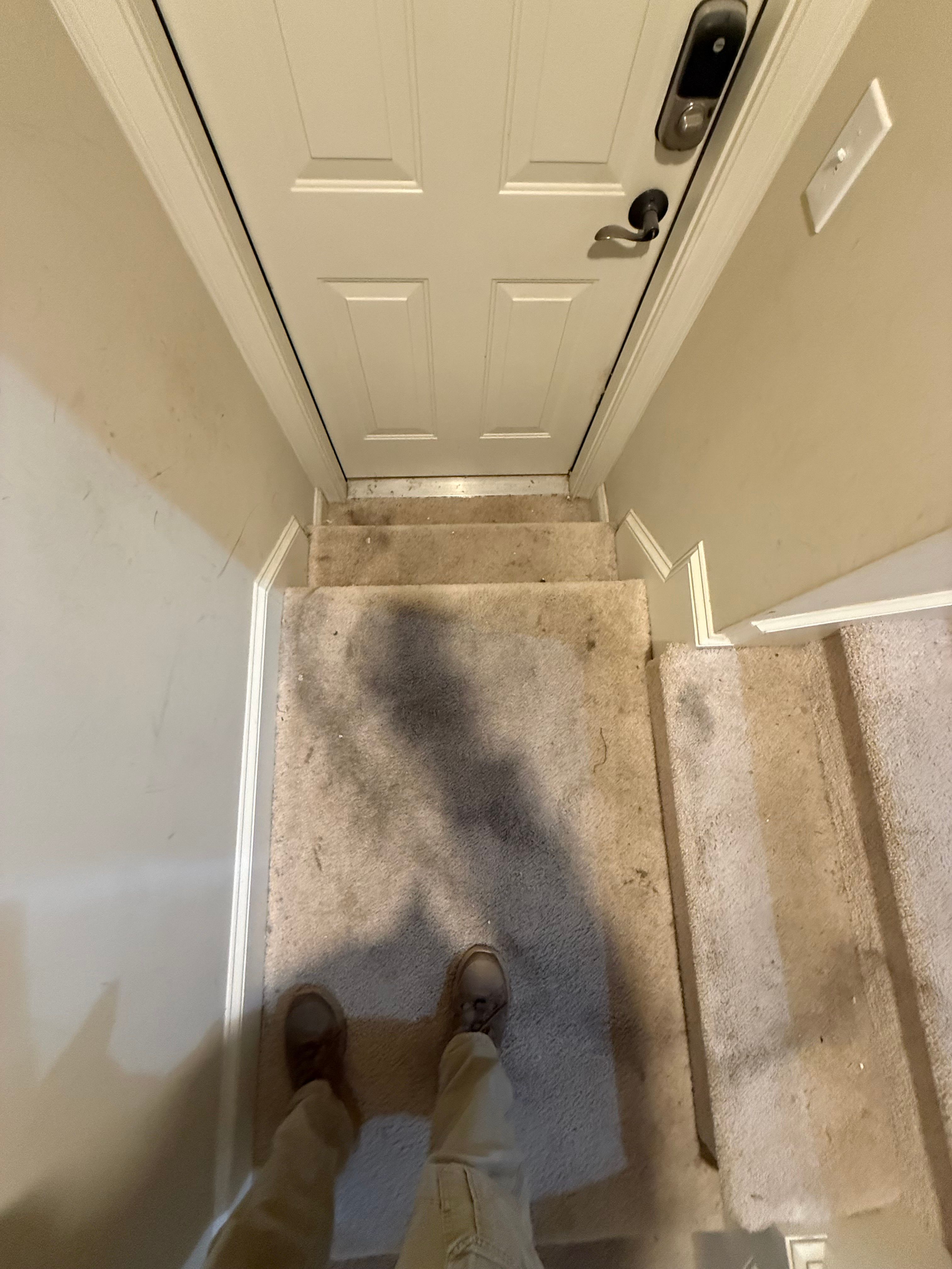 Project: Surrey - Basement Renovation by Hammer Time Remodeling & Repairs, LLC