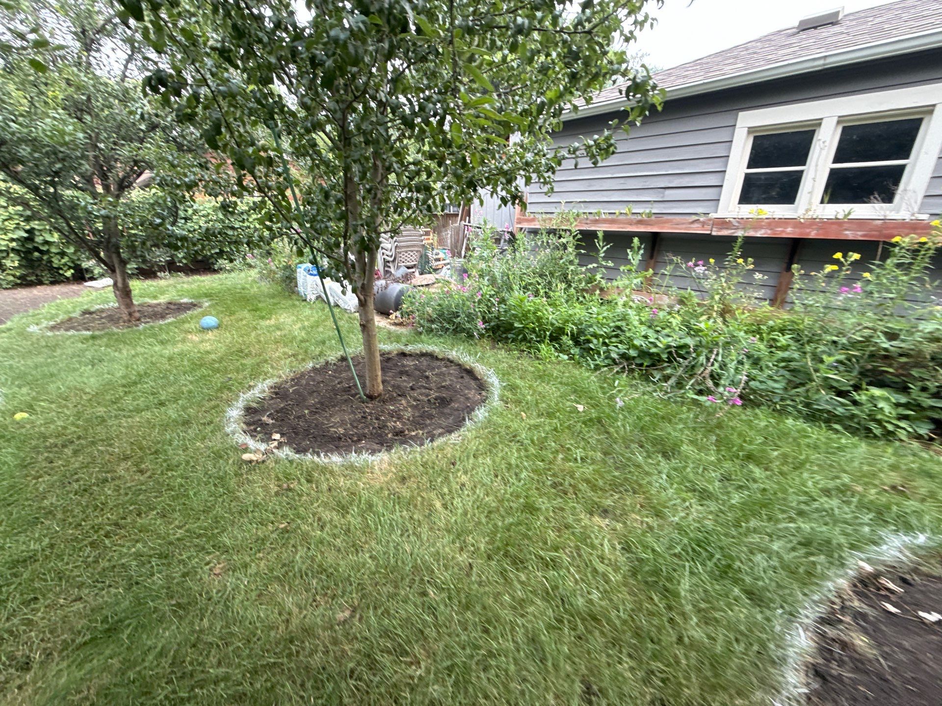Donna L. - Arlington Heights, IL by A&N