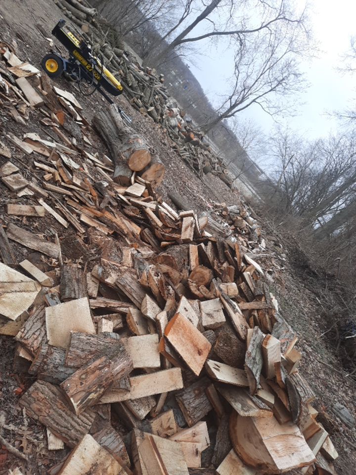 Tree Removal using Tree Removal by Mike Jones & Sons Tree Service LLC 