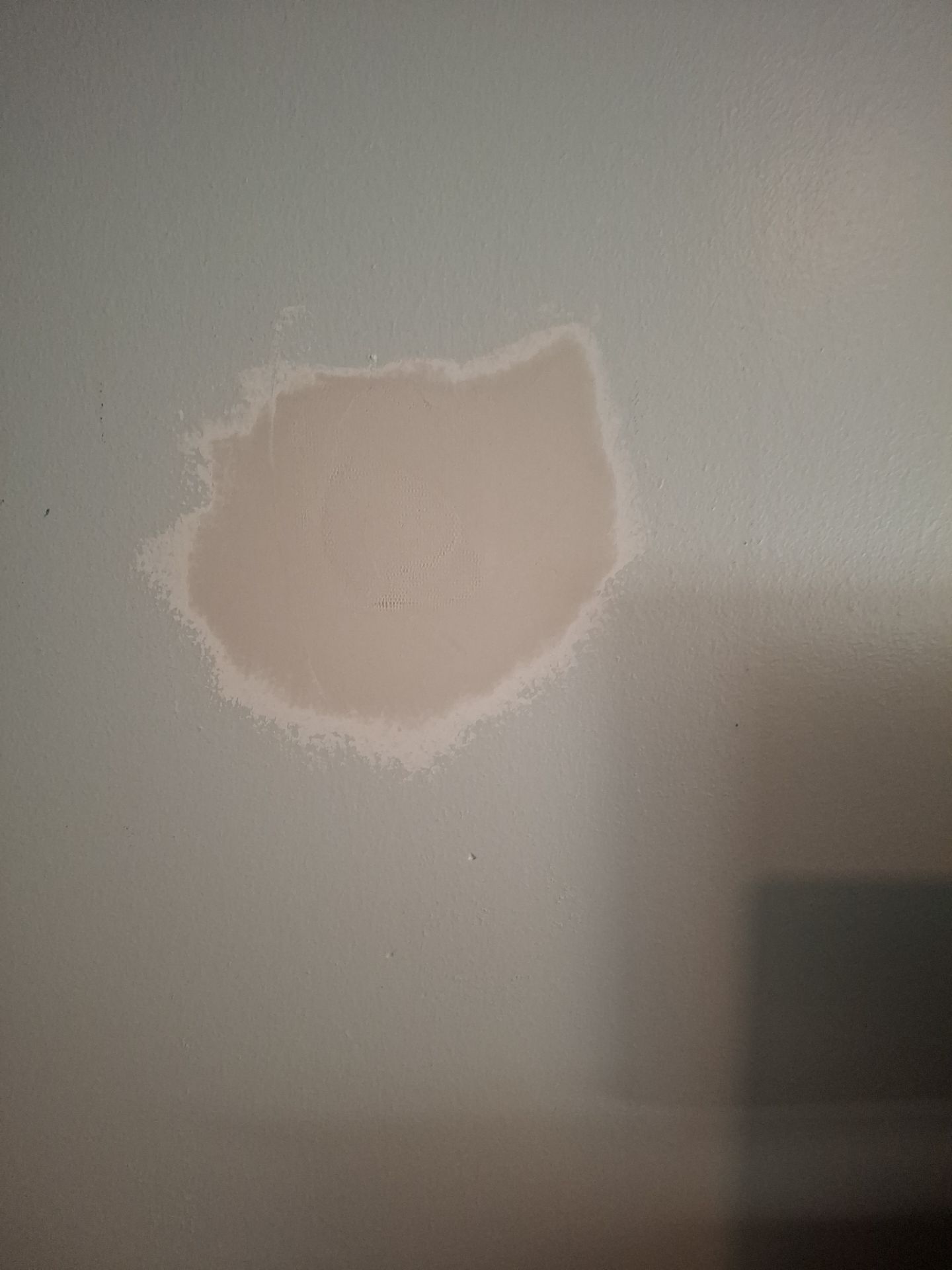 Interior Painting in Tyler, TX | Bathroom & Living Room Ceilings Renewal by Quality Coats Painting