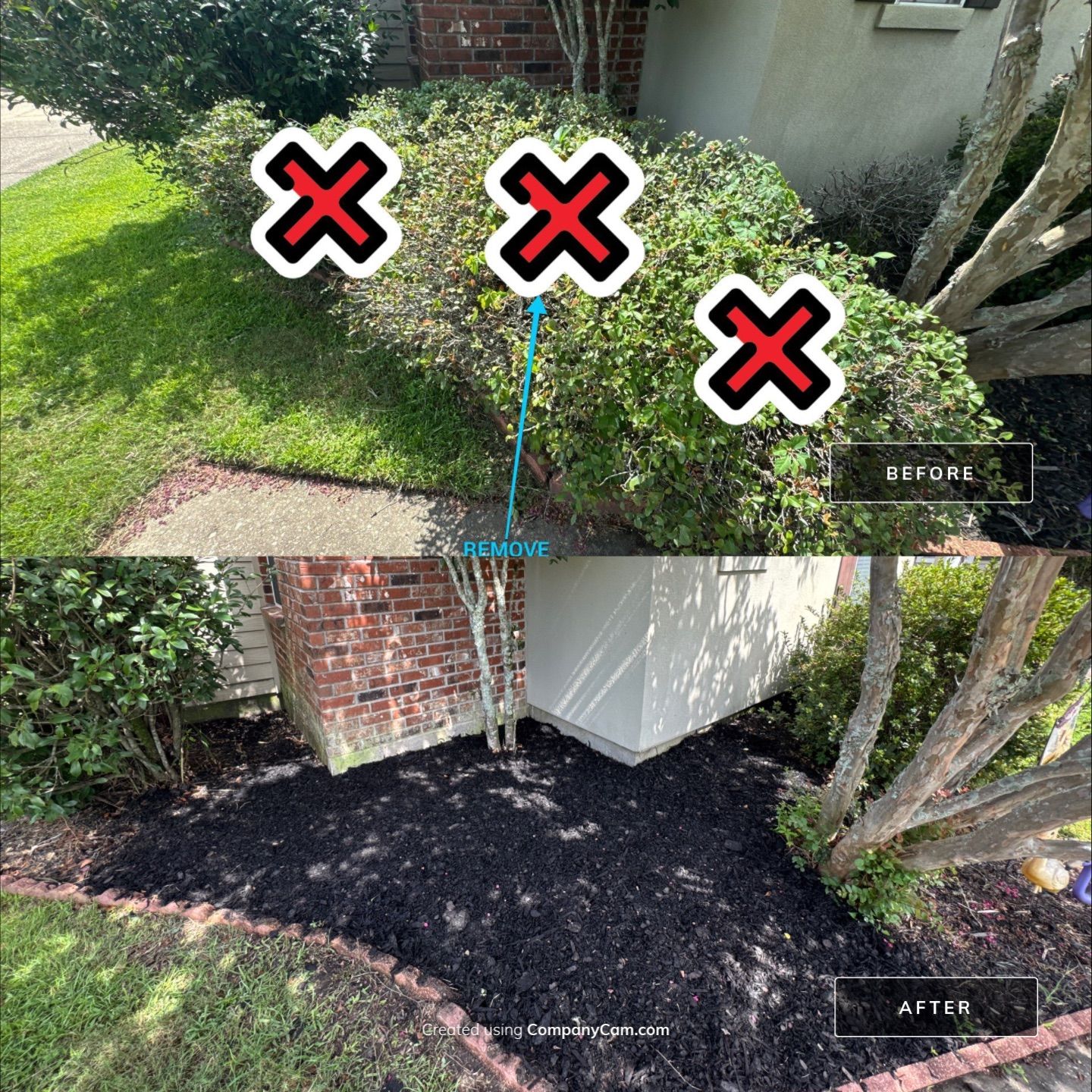 LANDSCAPE SERVICES: SHRUB REMOVAL / MULCH INSTALL by CutScape, LLC.
