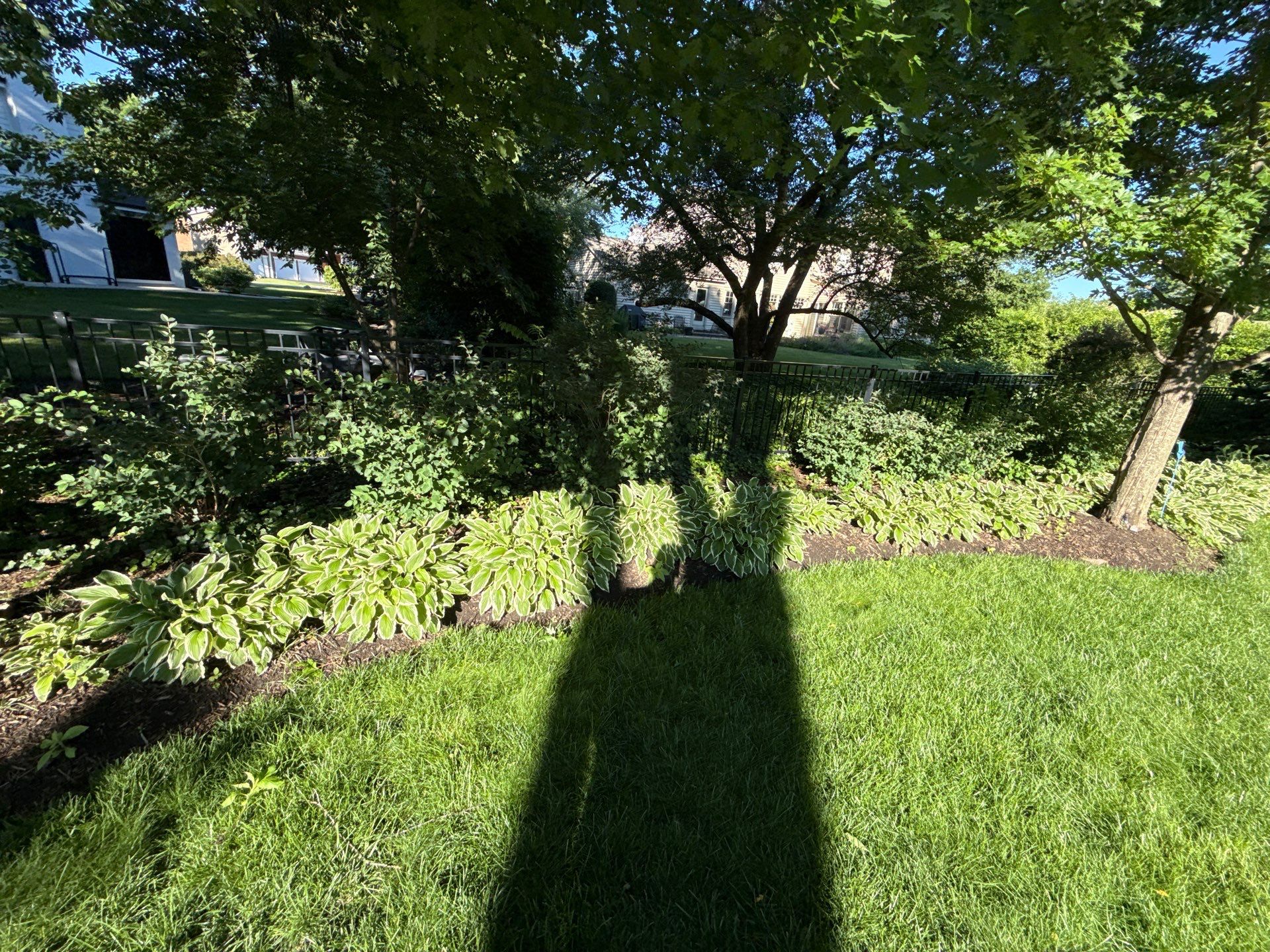 Lesley D. - Arlington Heights, IL by A&N 