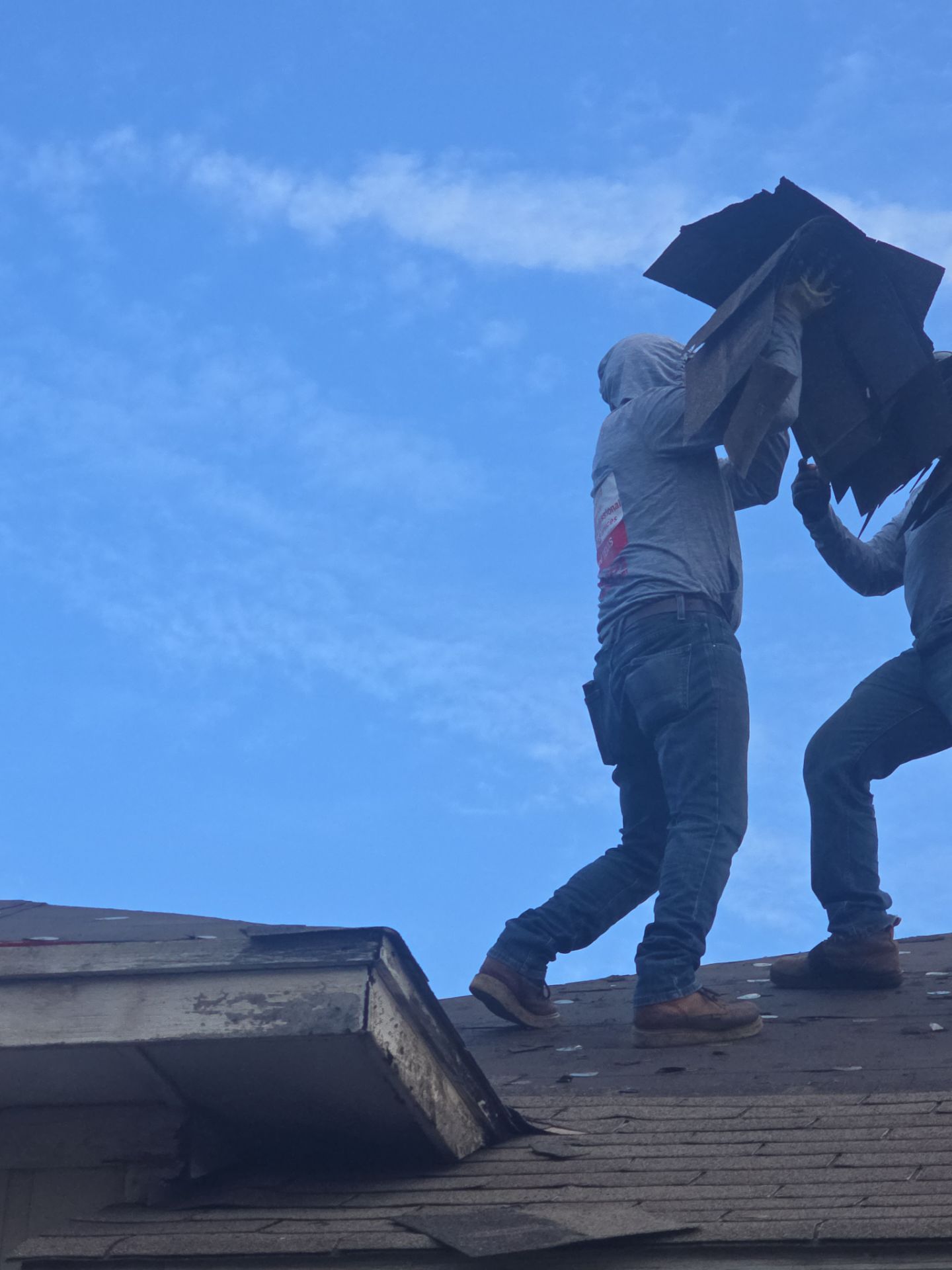 Miss Bridgette by REPS Austin Area Roofer