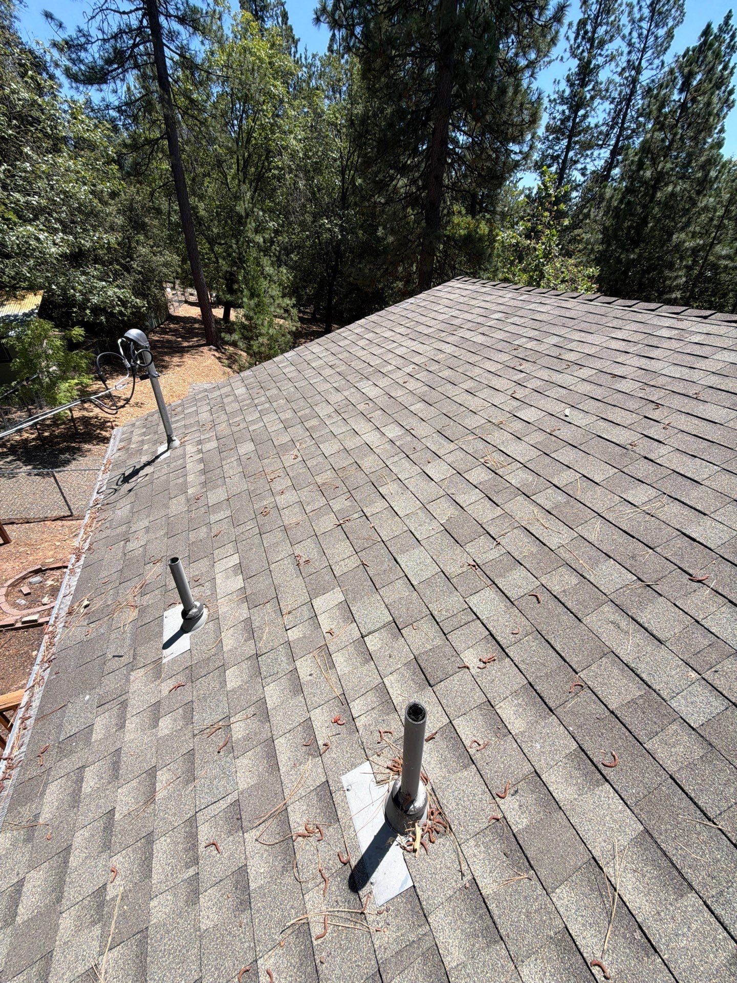 Roof Rejuvenation using Roof Maxx Treatment by Roof Maxx of Folsom