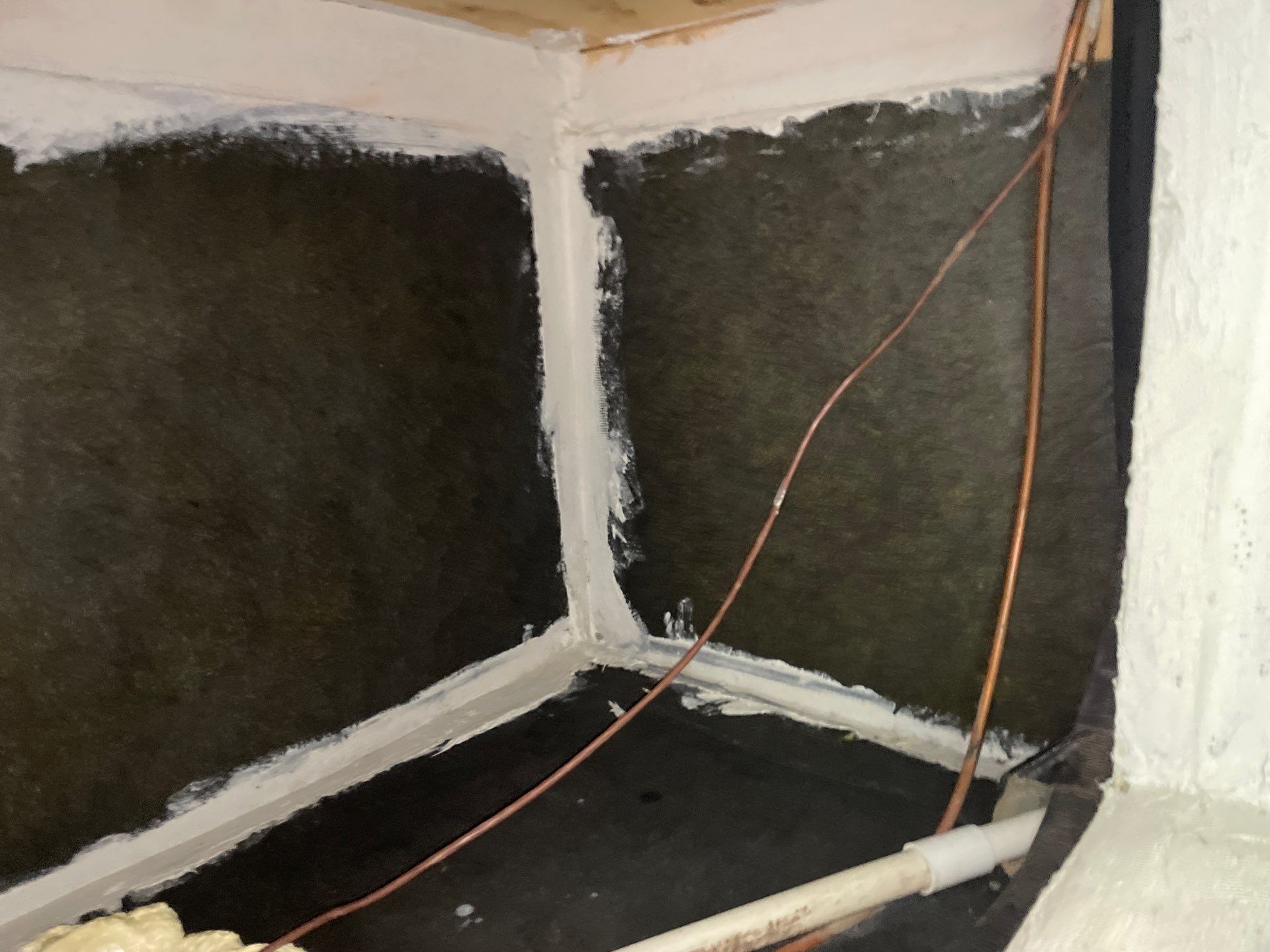 Air Duct Cleaning in Clermont by Hygienic Air, Inc