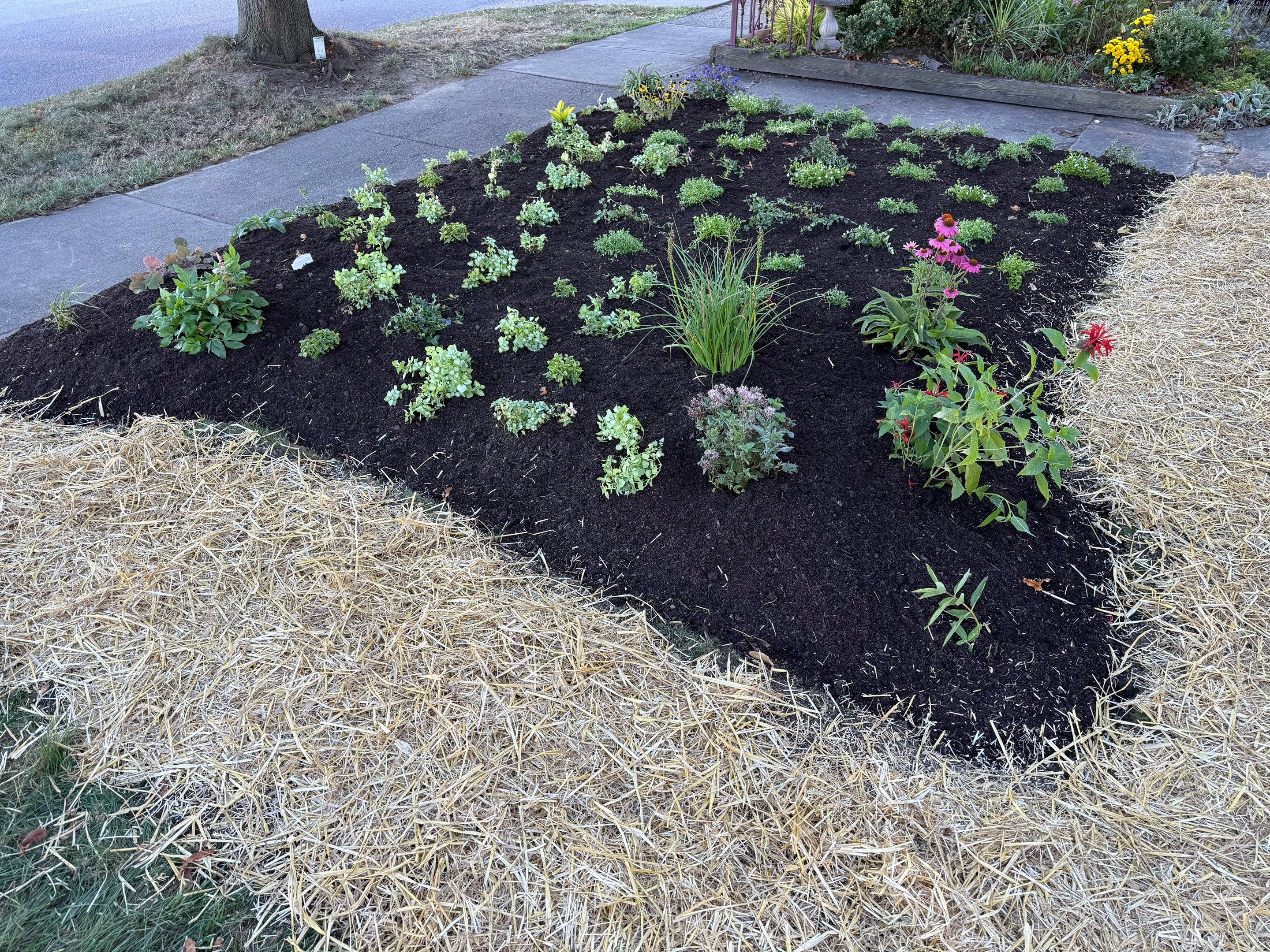 Purple Fence Project by Elm Rose Gardens
