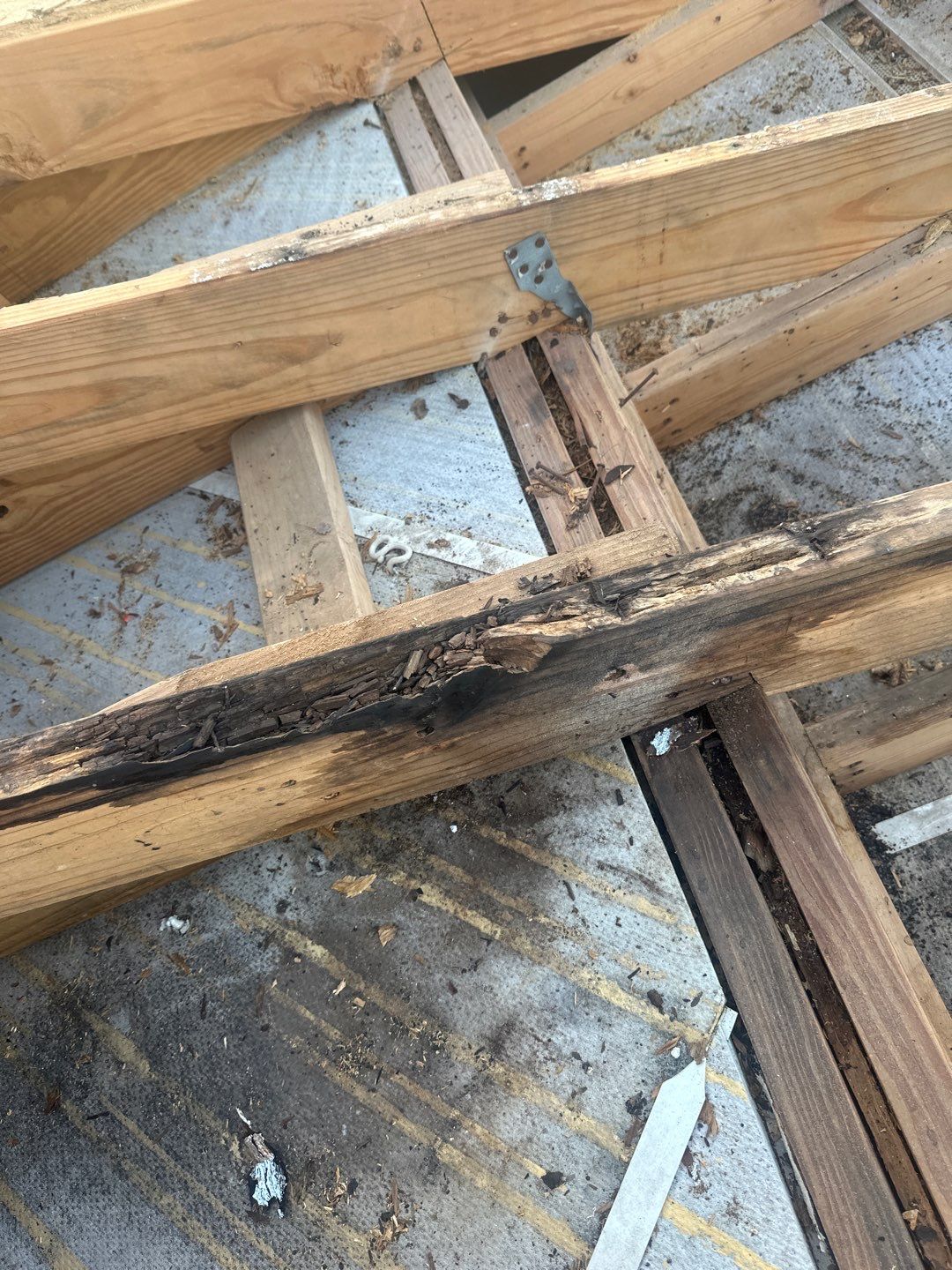 Residential Roofing Repair using Owen's Corning Duration (Lifetime) Shingles by Roof Repair Services LLC