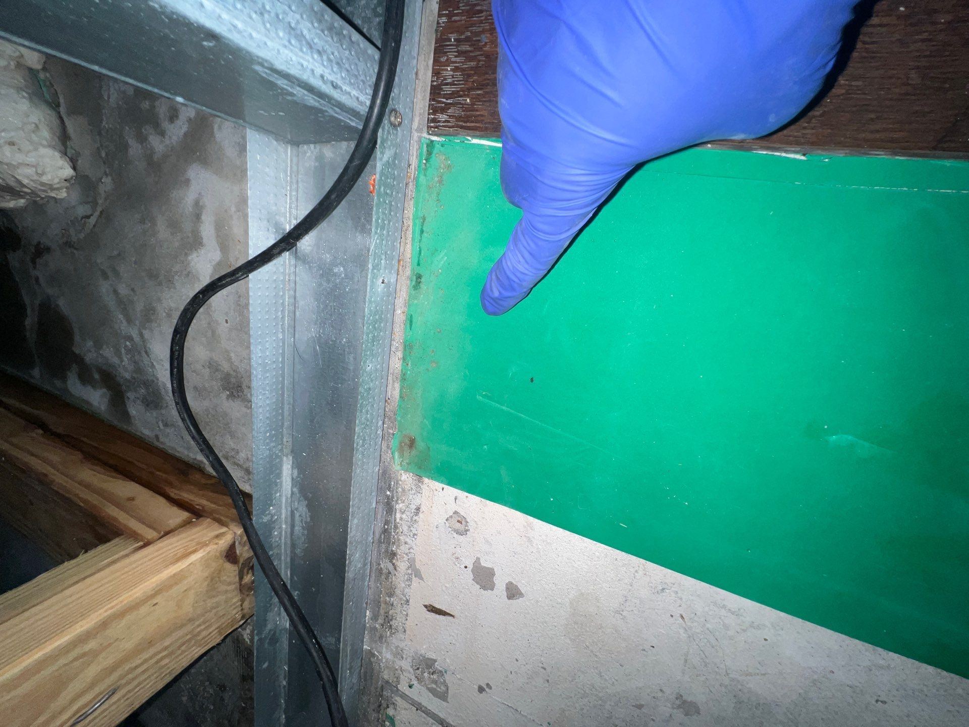 Stansell - water and mold photos  by THE RAPID TEAM