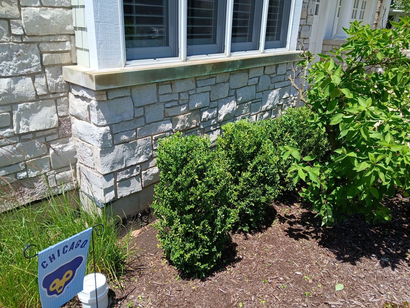 Lisa C. - Arlington Heights, IL by A&N