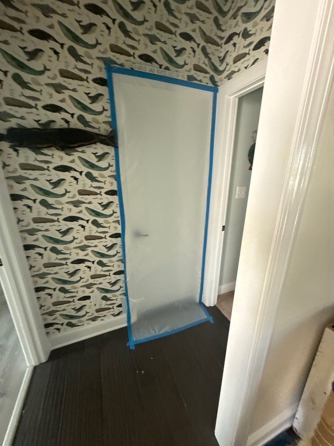 Bathroom and Crawlspace Water Damage and Mold by Healthy Home Solutions