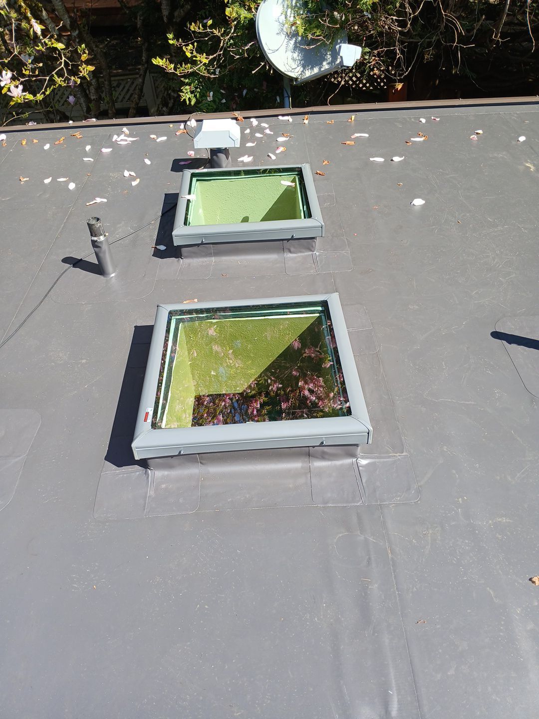 Multifamily Project in Kent by Roof Smart