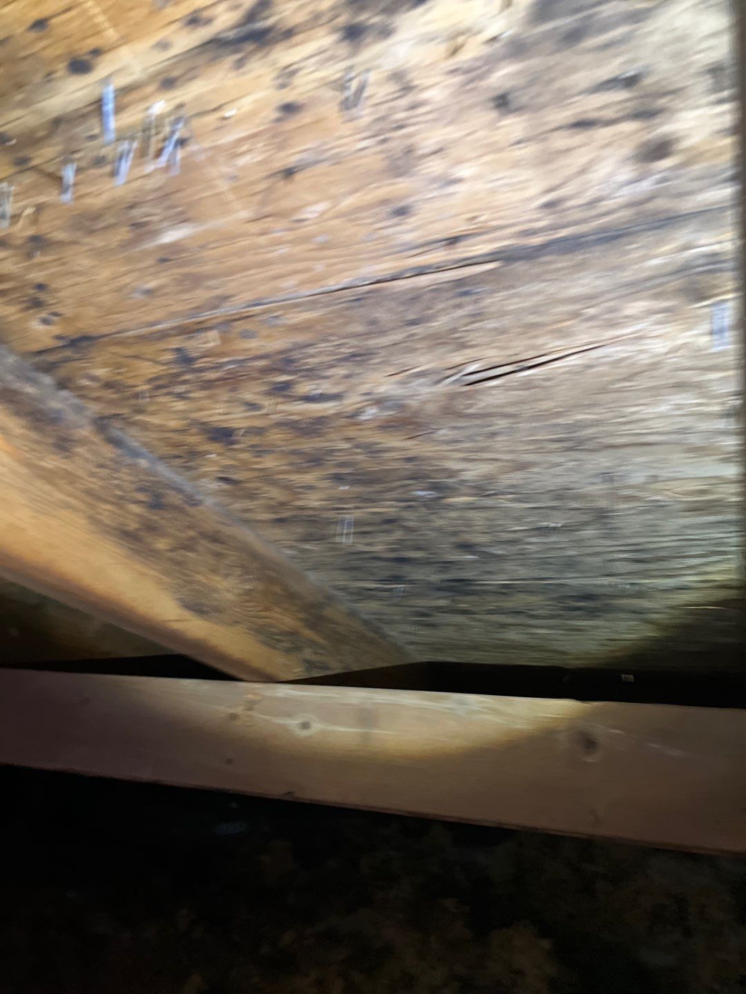 Residential Roofing Repair by Storm Guard of South Metro Denver