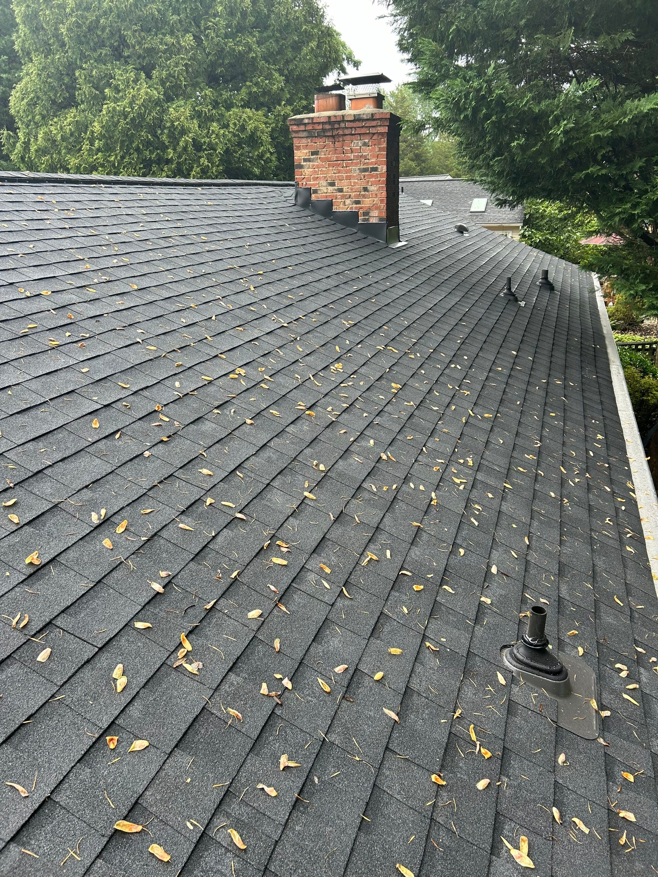 Burke: CertainTeed Landmark Designer Shingles in Moire Black by RM Banning, Inc.