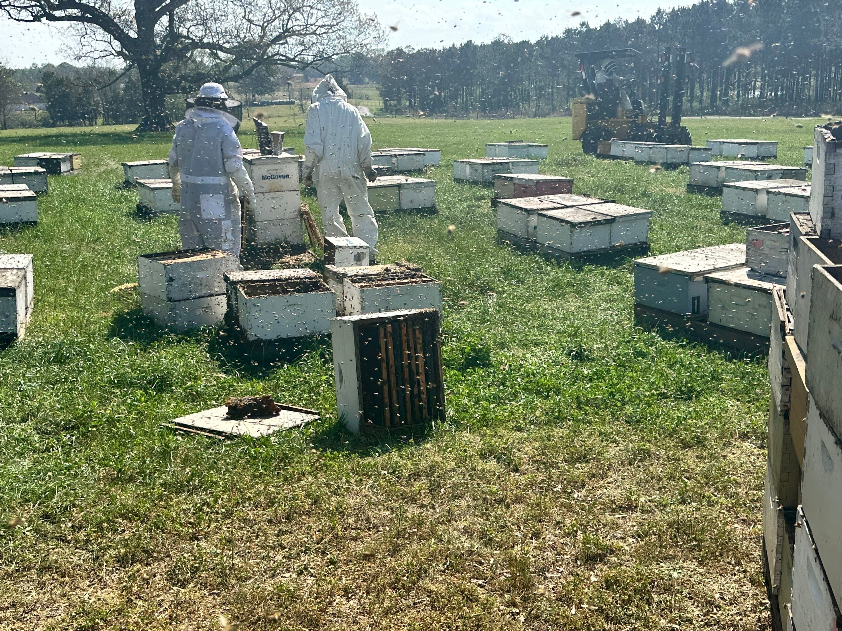 Peanut Farm Apiary by Rockwall Honey Bee Company