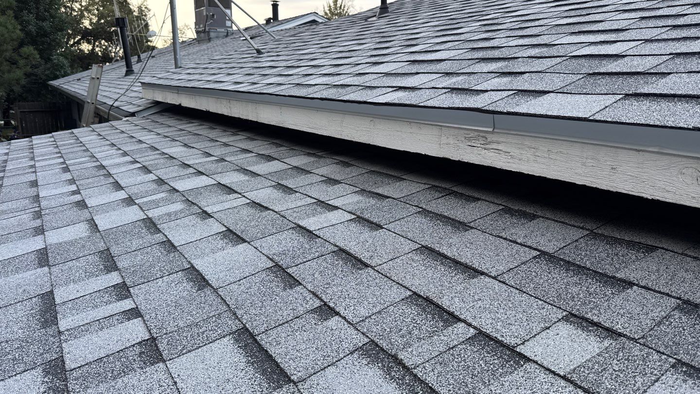 Project in Calfax  by NuLead Construction Inc