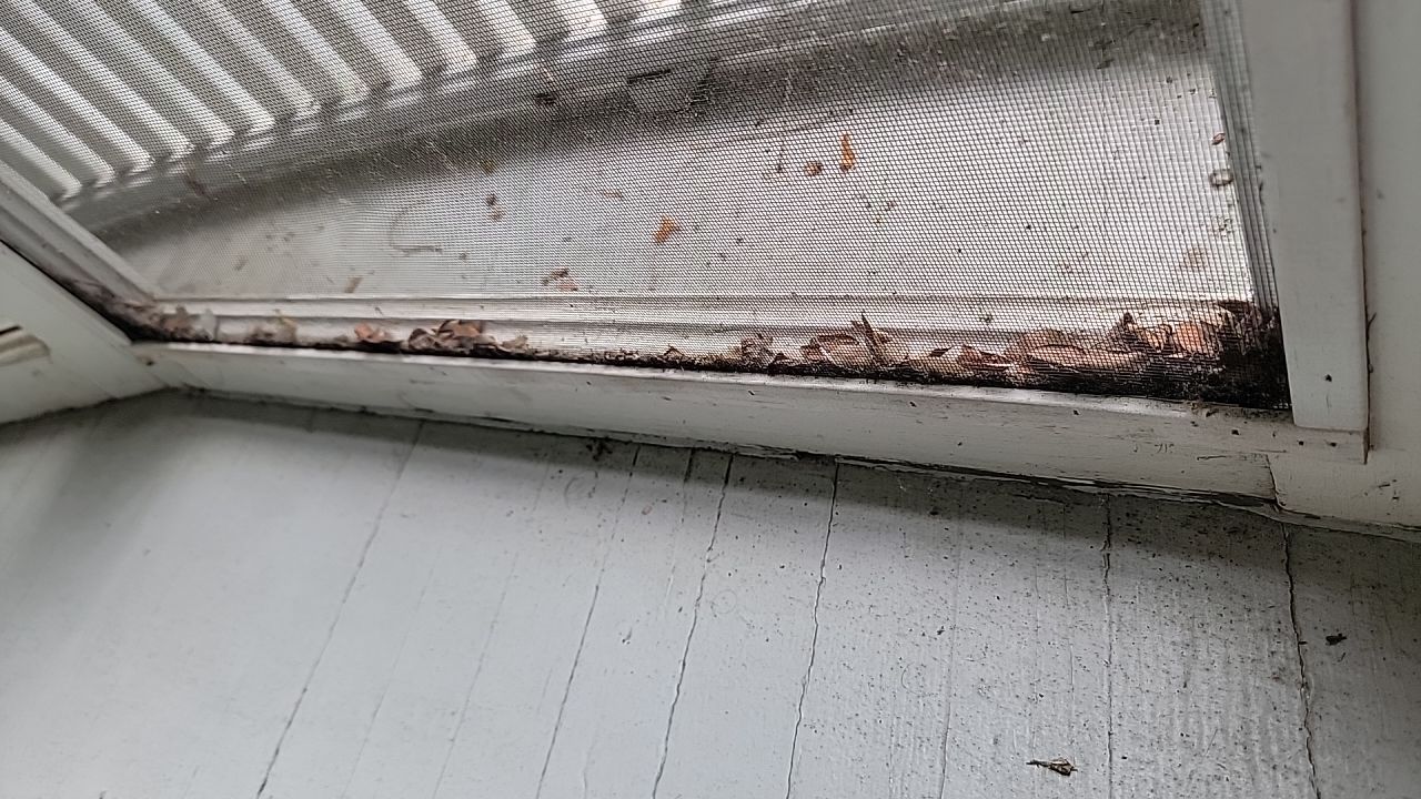 Housewashing  using Algaecide, soft wash soap by Northern Power Washing LLC.
