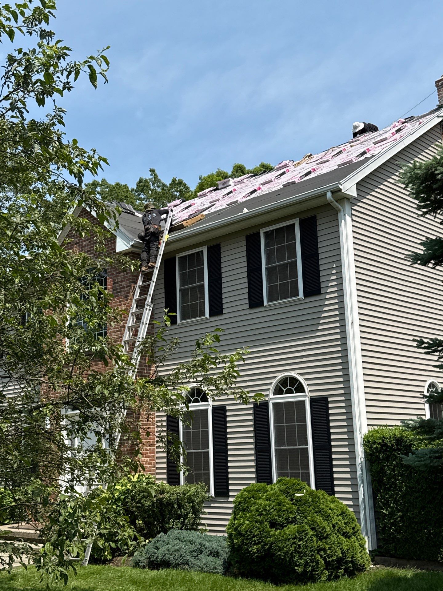 Prospect by All site builders LLC