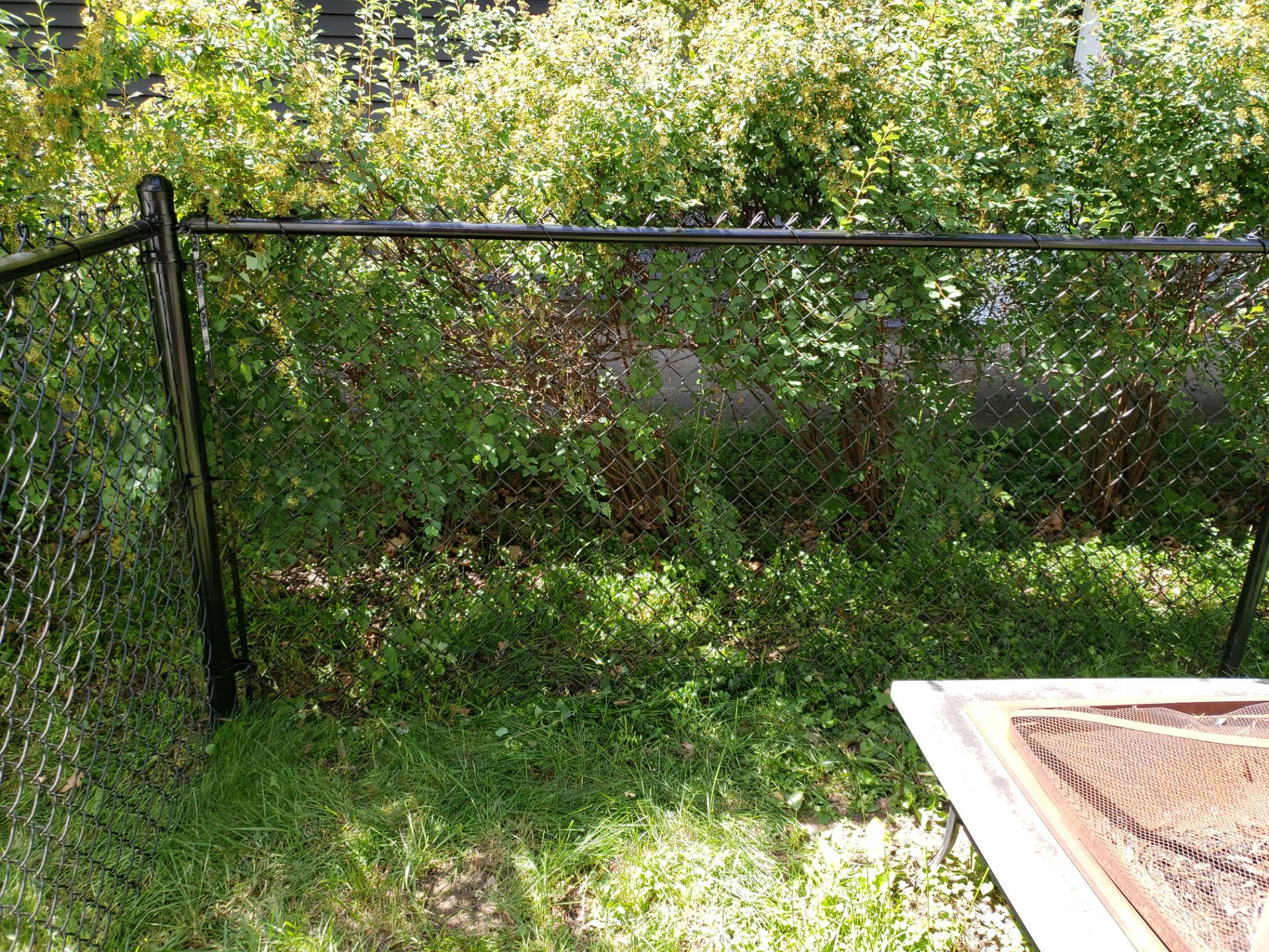 Black Chain Link Perimeter Fence and Gate Installation in Cedar Falls by Perfect Picket Fence and Stain
